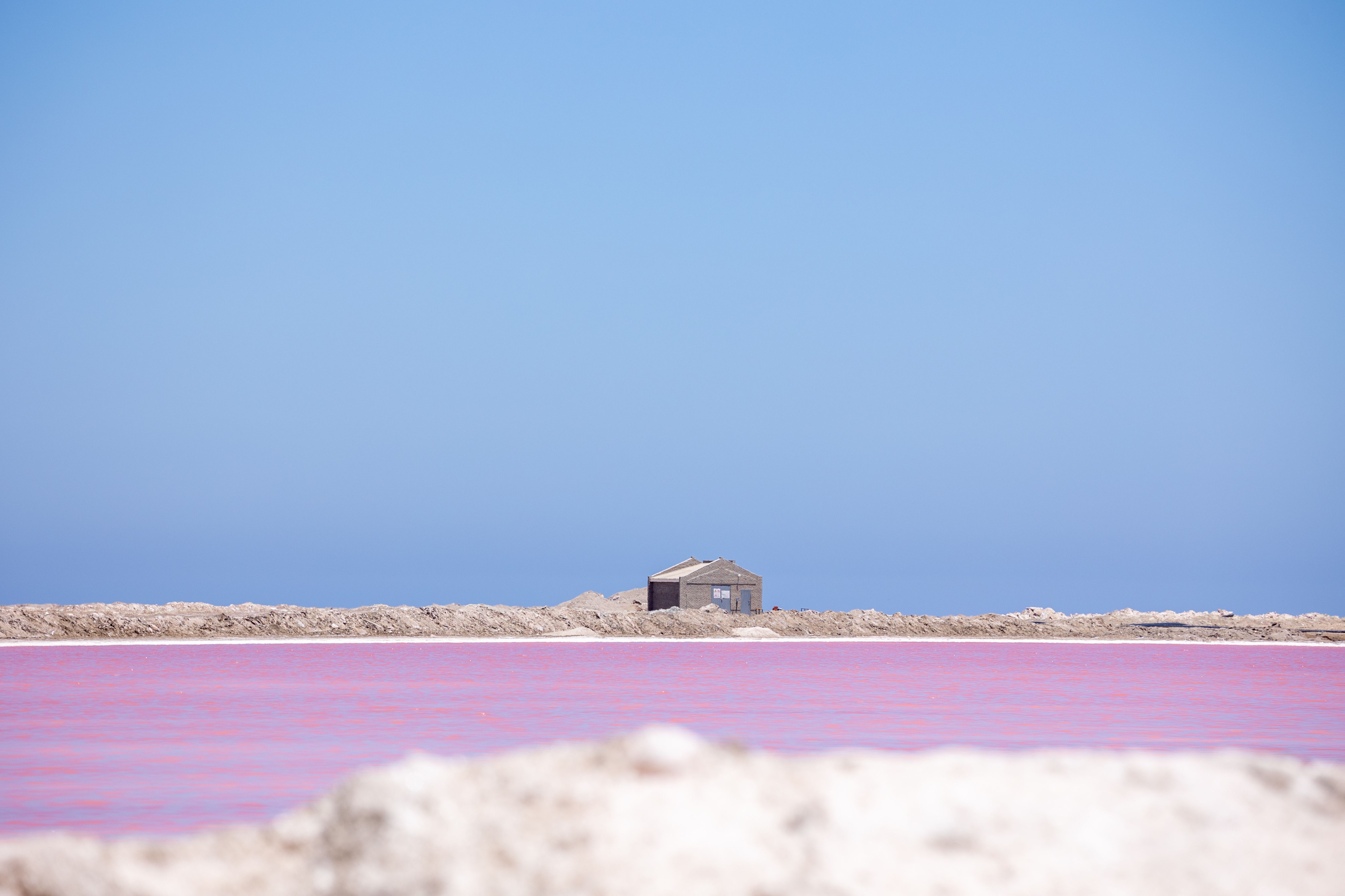 A solitary hut stands by vibrant pink salt pans under a clear blue sky in Namibia.