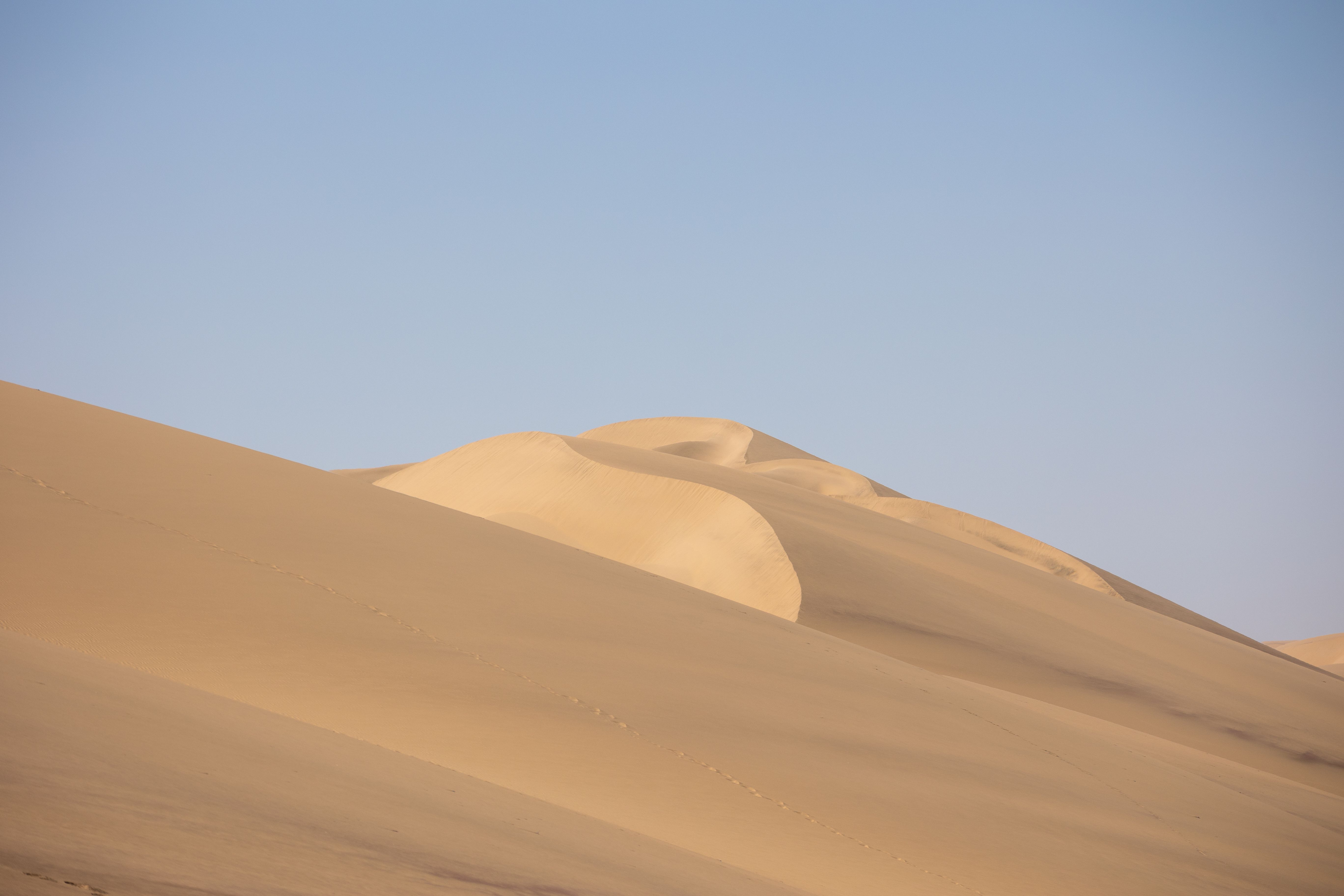 Stunning view of vast sand dunes under a clear sky in Namibia, captured in warm sunlight.