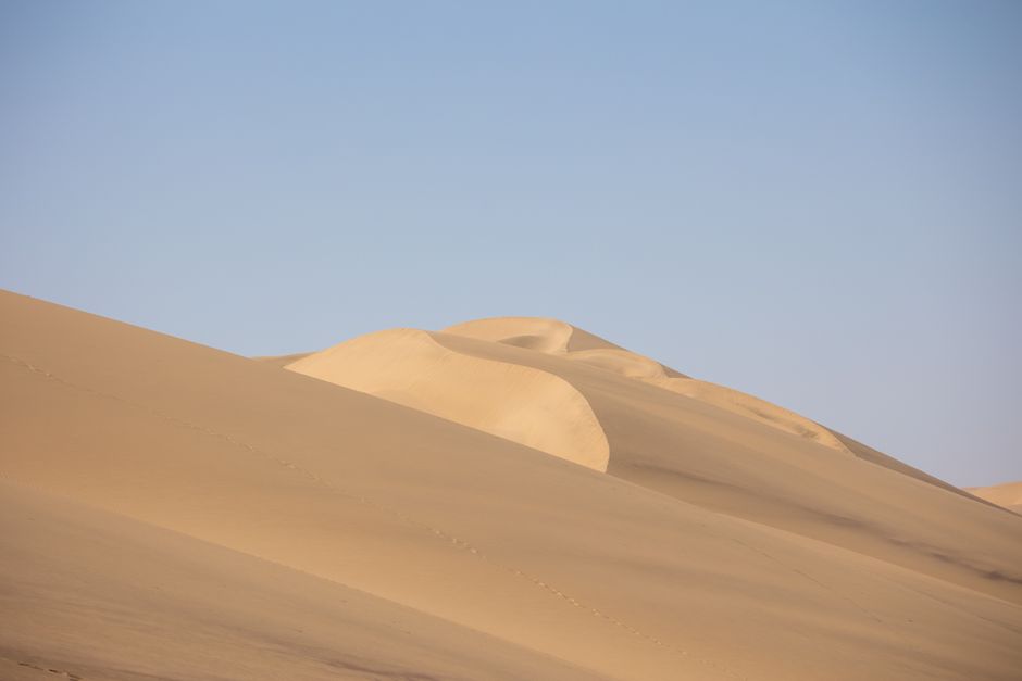 Stunning view of vast sand dunes under a clear sky in Namibia, captured in warm sunlight.