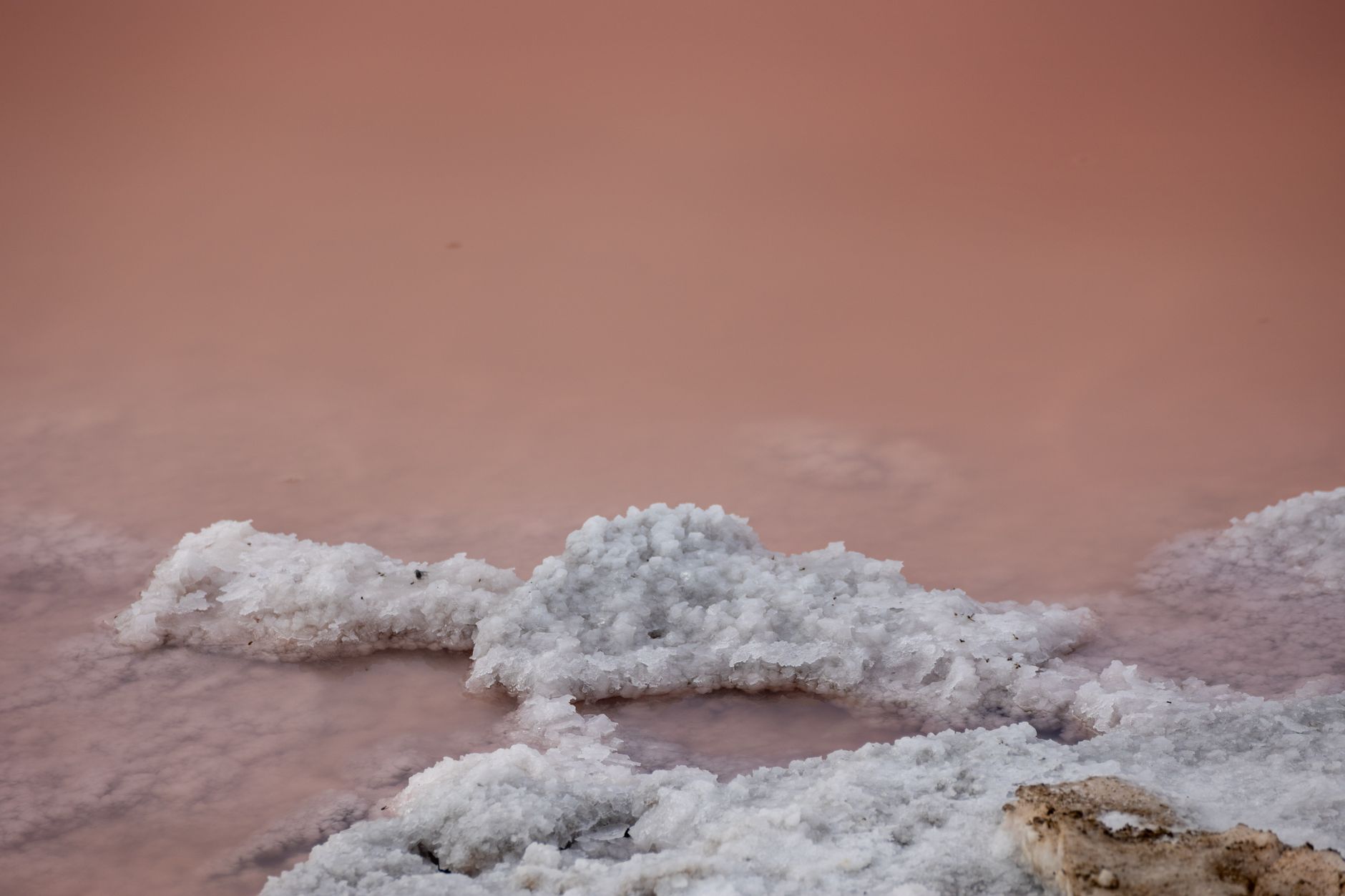 Hypertonic Saline Abortion: An Outdated Procedure and Its Risks
