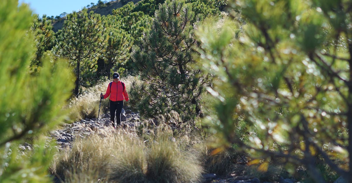Comment Choisir le Meilleur Sac à Dos de Randonnée