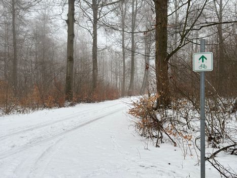 A serene snow-covered bike path winds through a tranquil forest, marked by a cycling sign.