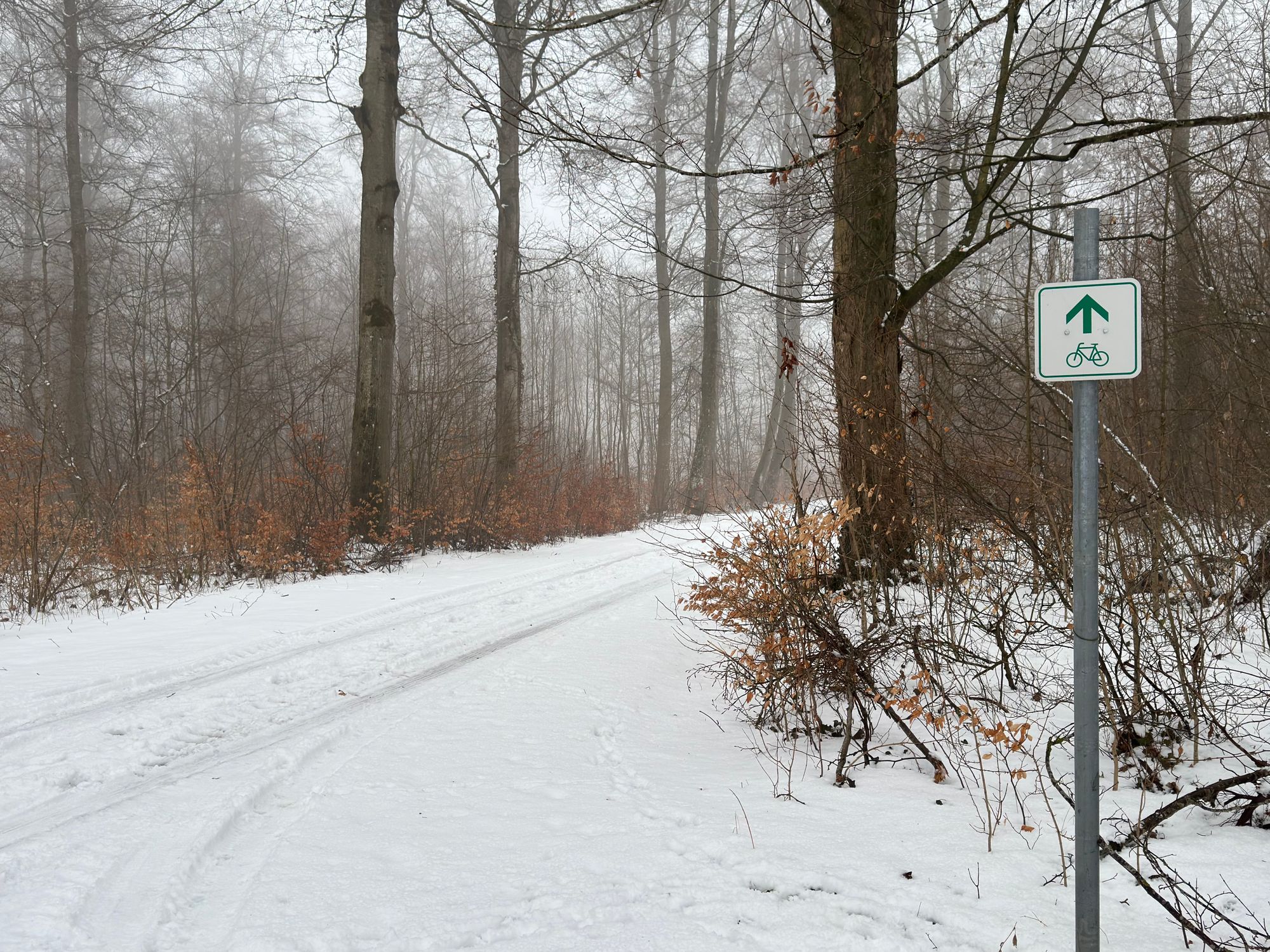 A serene snow-covered bike path winds through a tranquil forest, marked by a cycling sign.