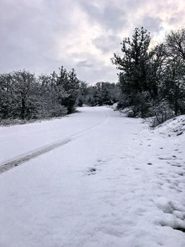 Serene winter scene of a snowy road winding through a forest, capturing tranquil nature.
