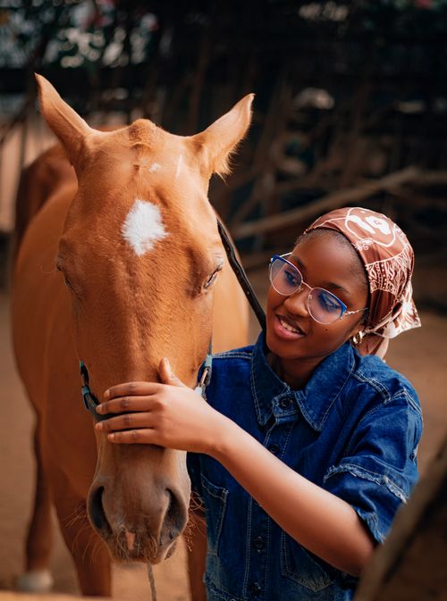 Free A joyful young woman affectionately pets a chestnut horse in a stable setting. Stock Photo