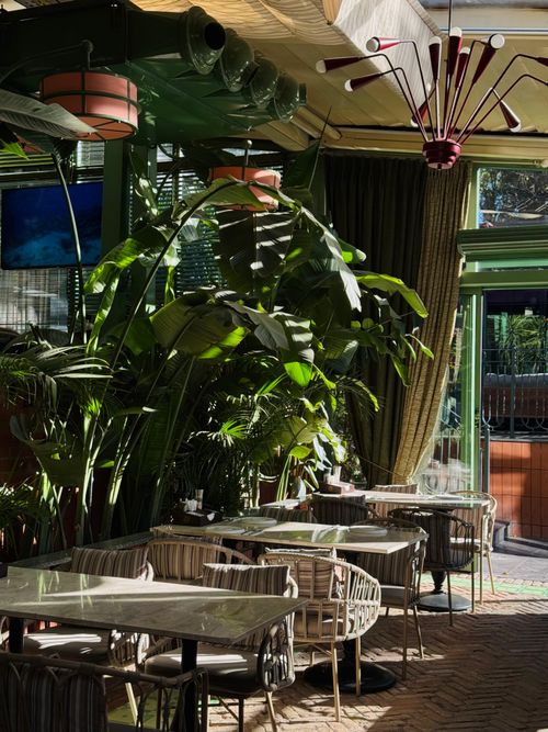 Free Stylish café interior in İstanbul with vibrant plants and elegant design. Ideal for lifestyle imagery. Stock Photo