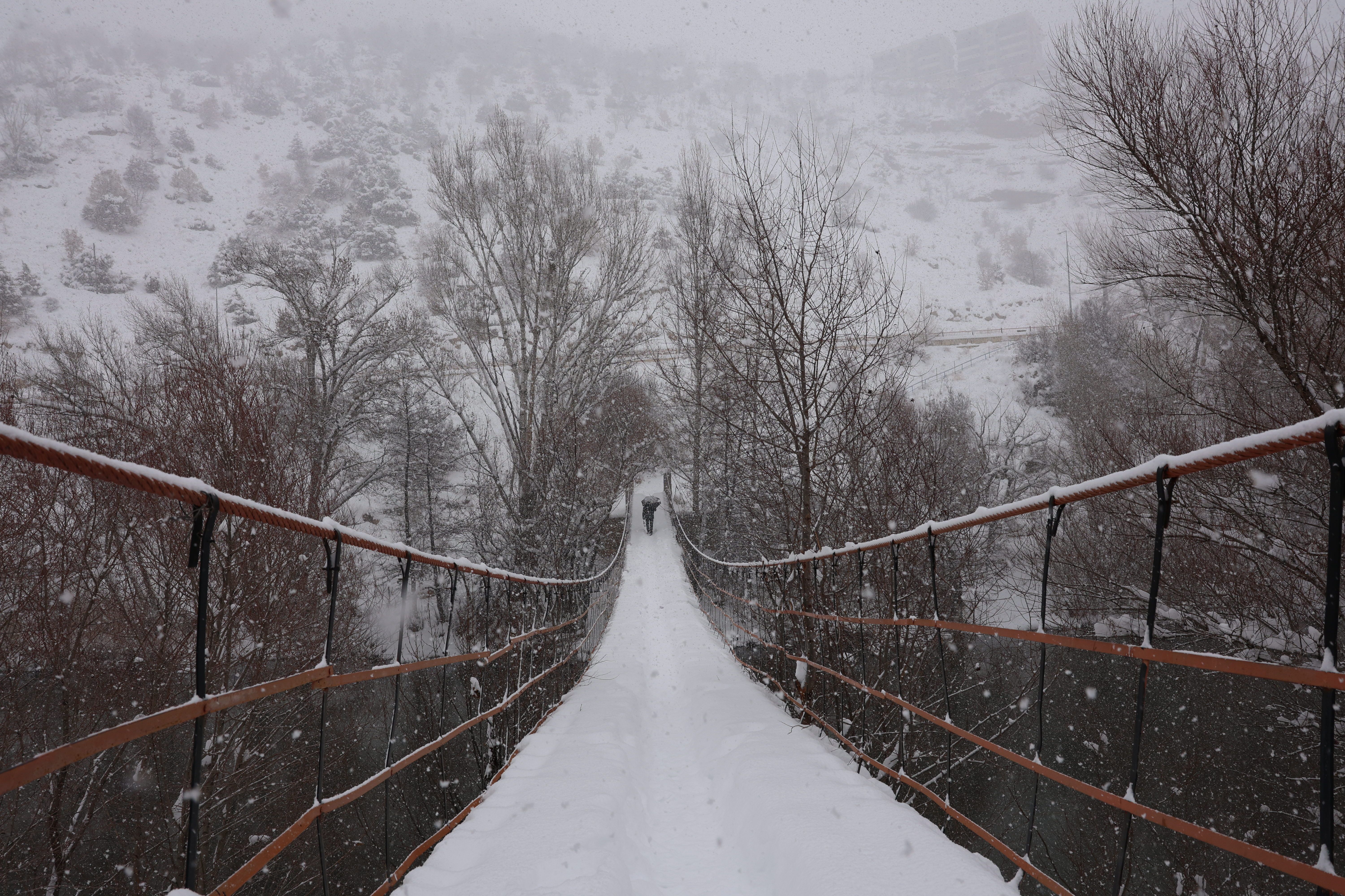 Snowy Suspension Bridge in Winter Wonderland · Free Stock Photo