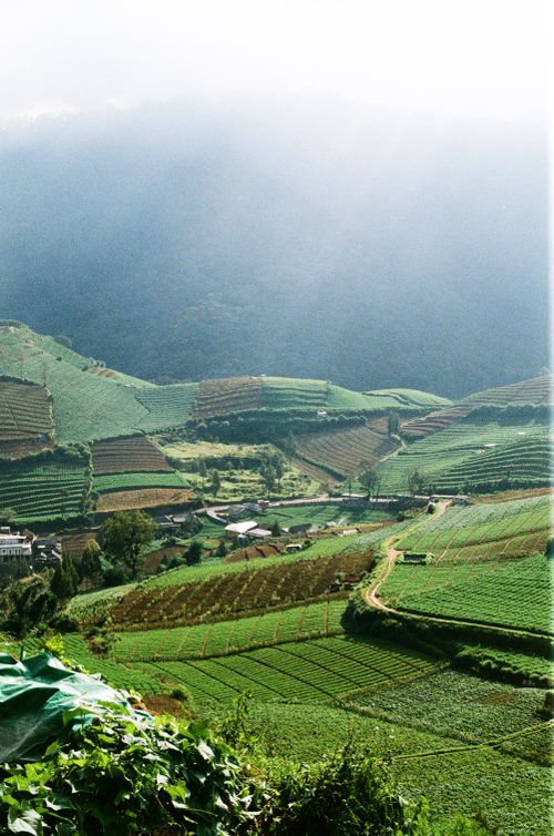 Free Scenic view of verdant terraced hills under a cloudy sky. Ideal for nature and agriculture themes. Stock Photo
