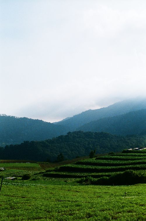 Free A peaceful landscape featuring lush green terraced hills and a clear sky. Stock Photo