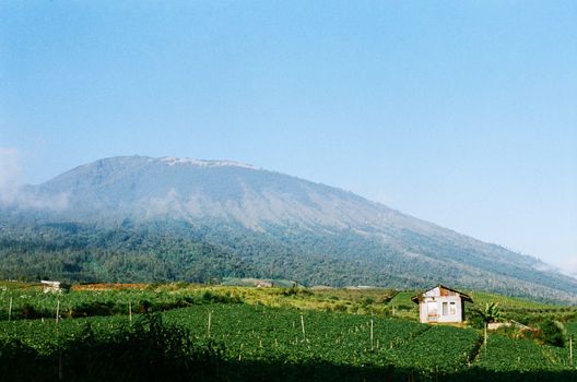 Serene landscape view of green hills and a small house in Batu, East Java, Indonesia.