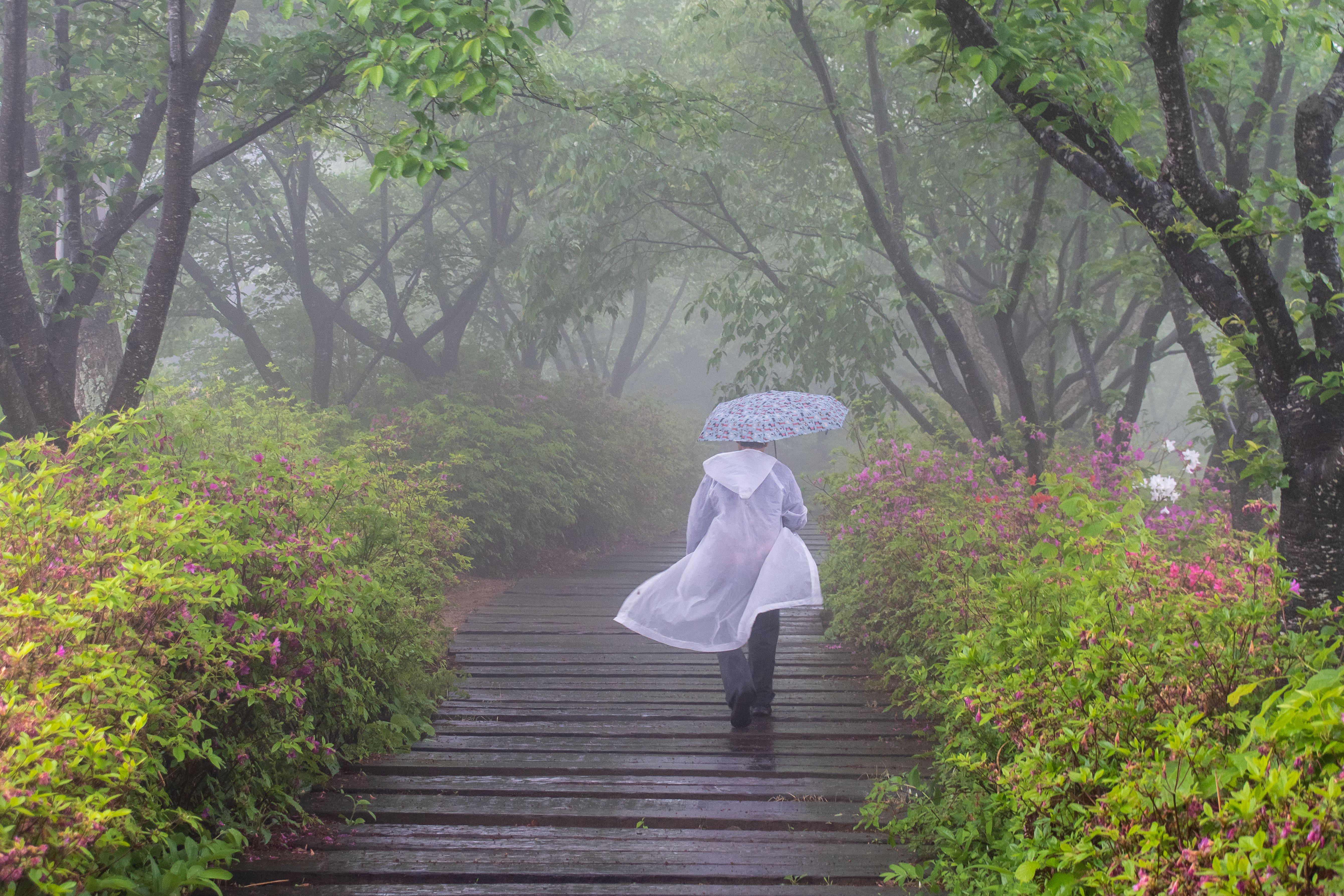 hiker trail rain umbrella