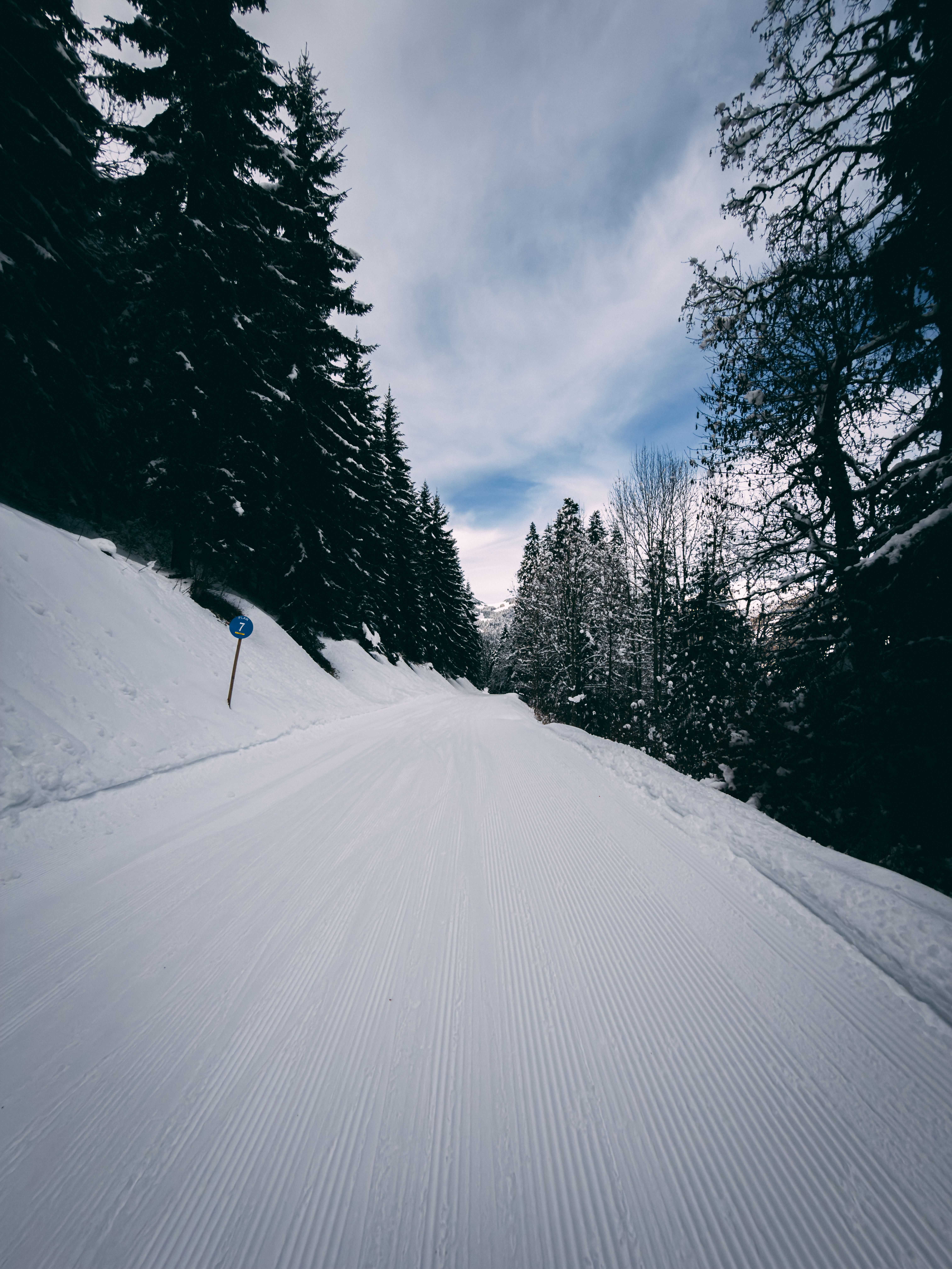 Scenic Winter Forest Road with Snowy Path · Free Stock Photo