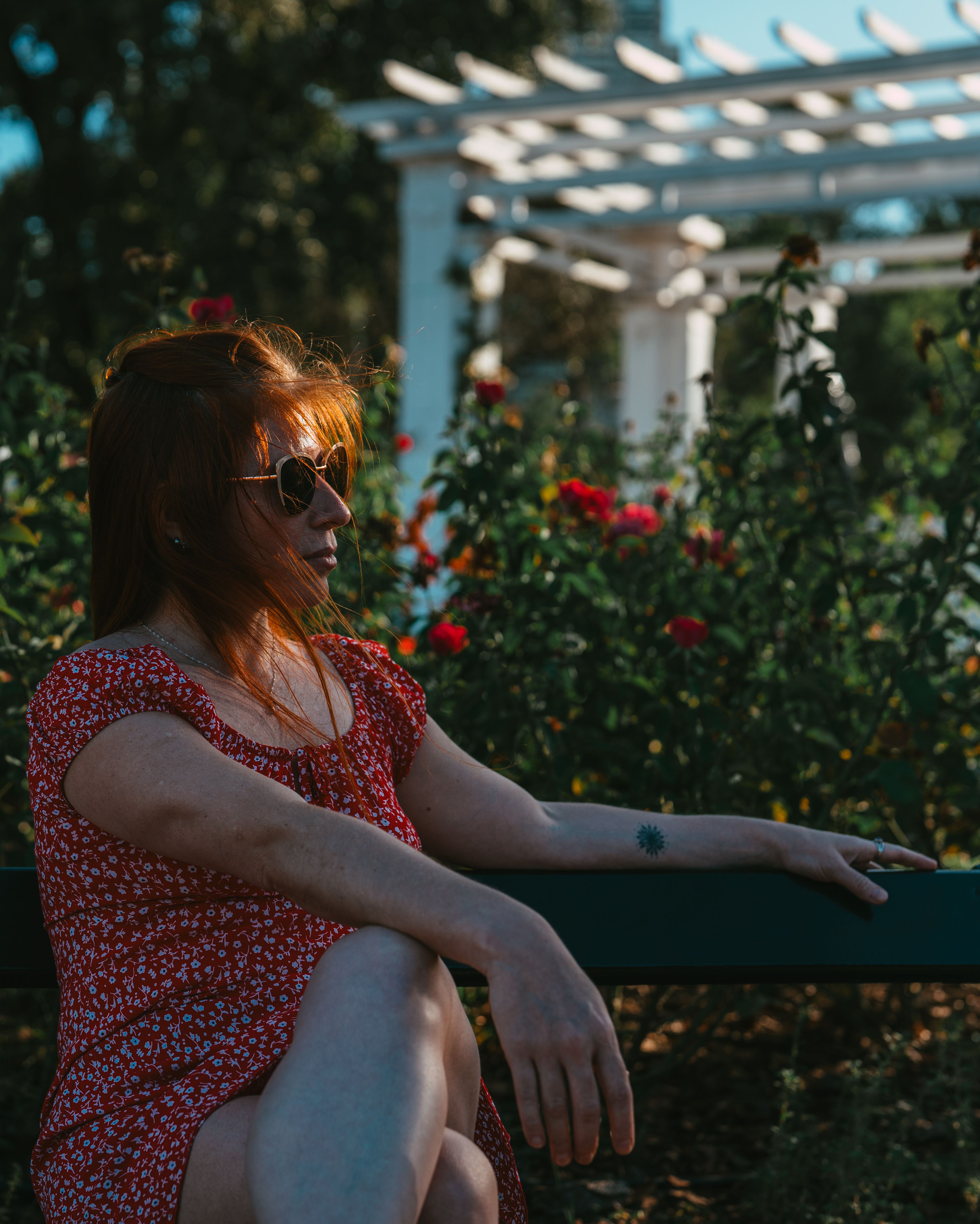 Woman Relaxing in Sunlit Garden with Roses · Free Stock Photo