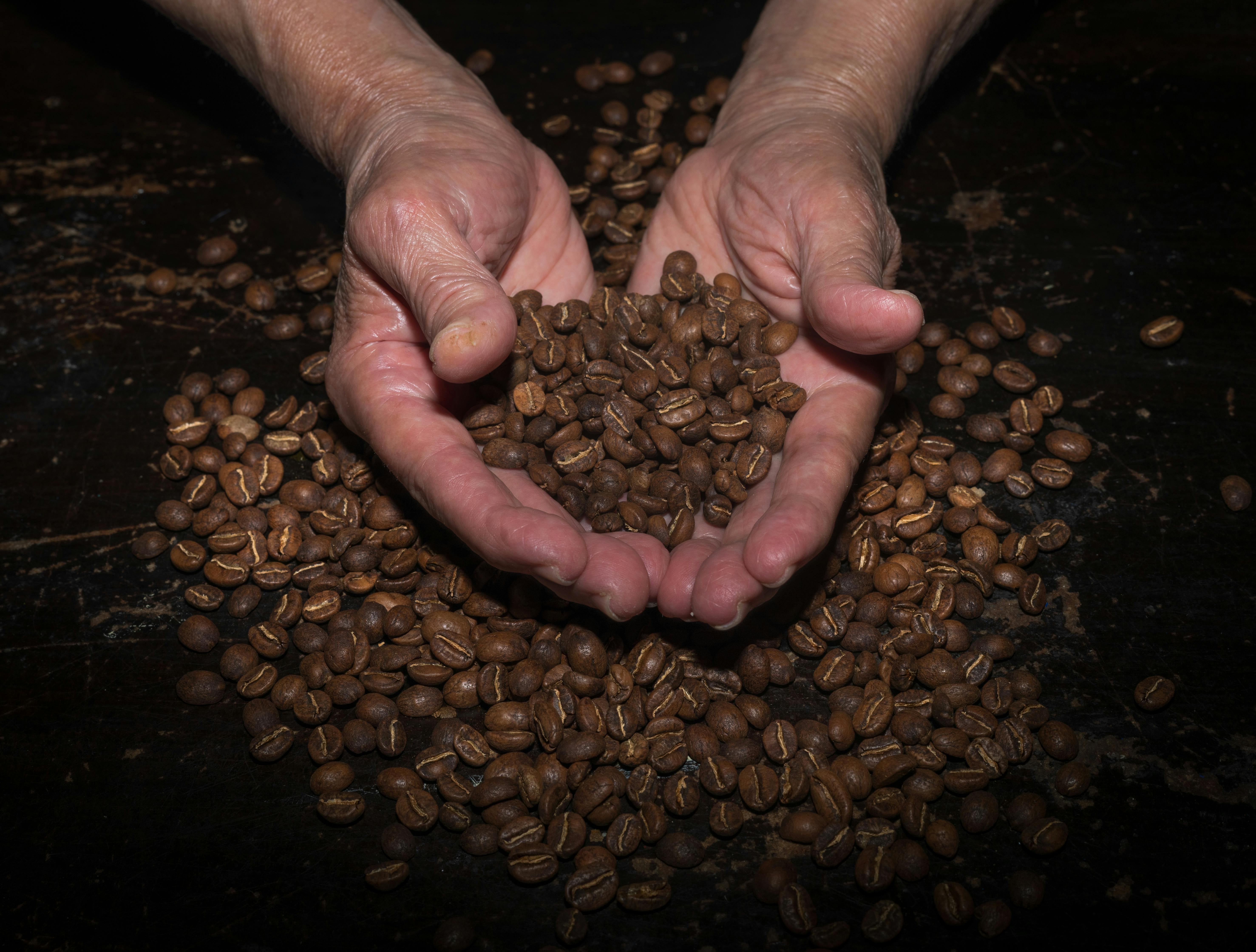 Kenya’s best coffee was always for export. This founder