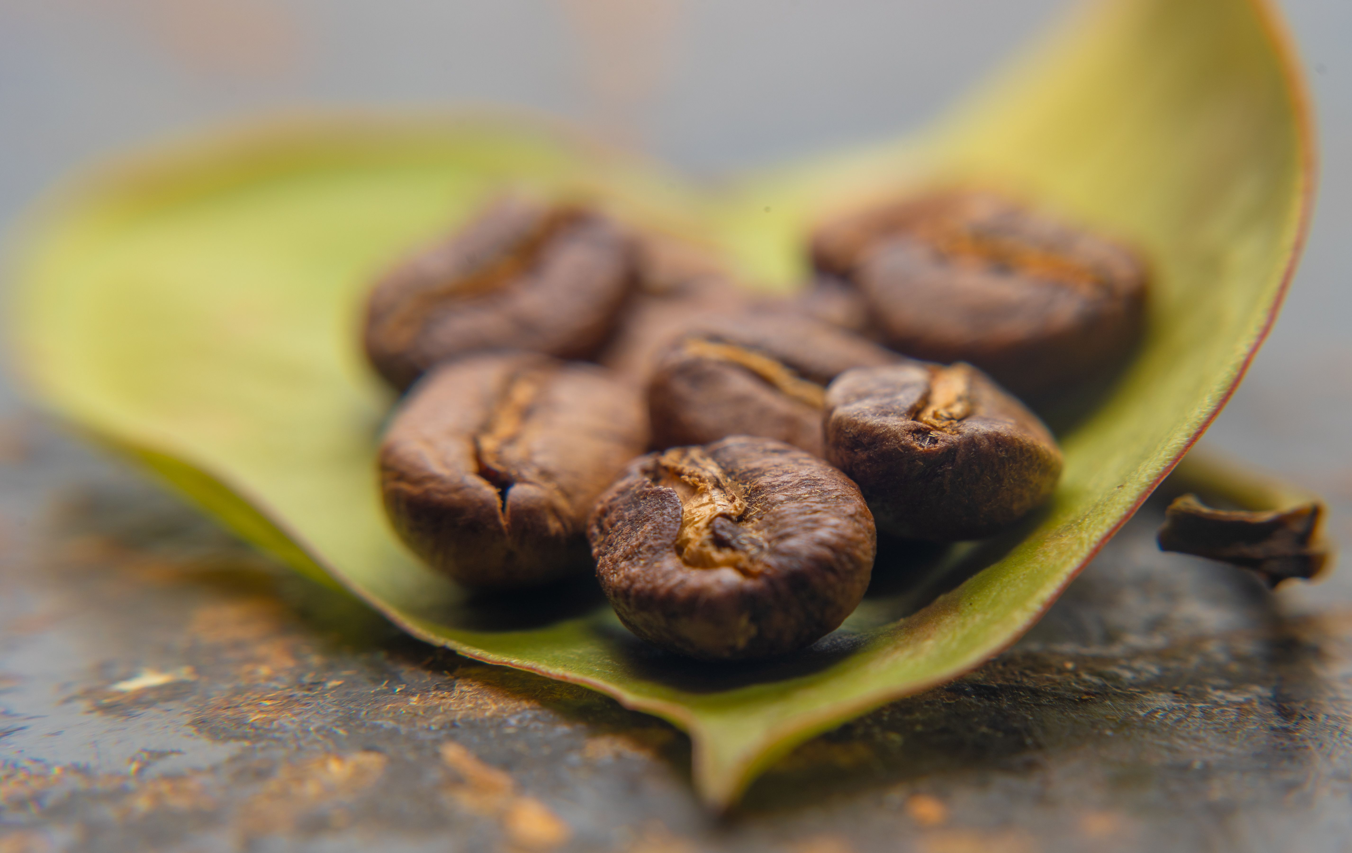 Exhibitor Spotlight: Quality Coffees Expands U.S. Market Reach Through Five-Show Exhibition Strategy by Sarah Mitchell