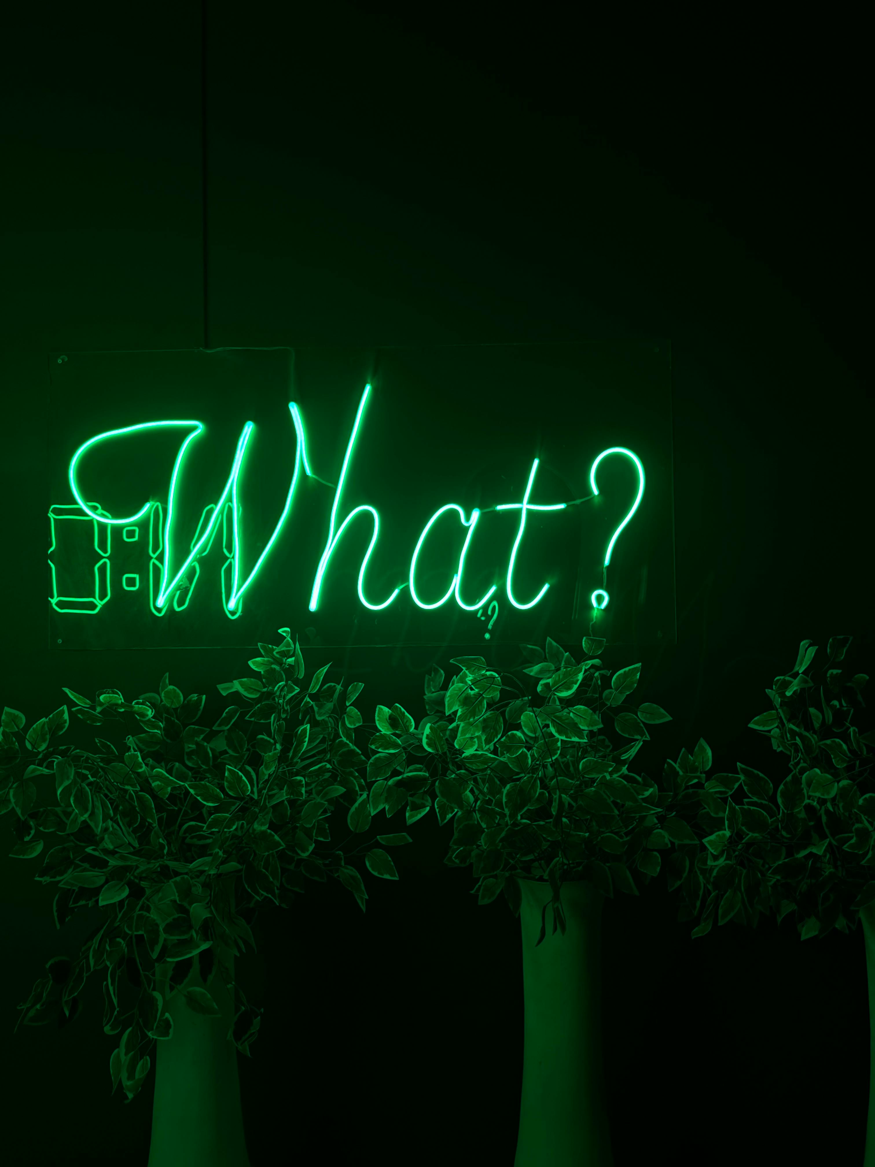 gratis Neonreclame met de tekst 'Wat?' en groene planten eronder, artistiek en levendig. Stockfoto