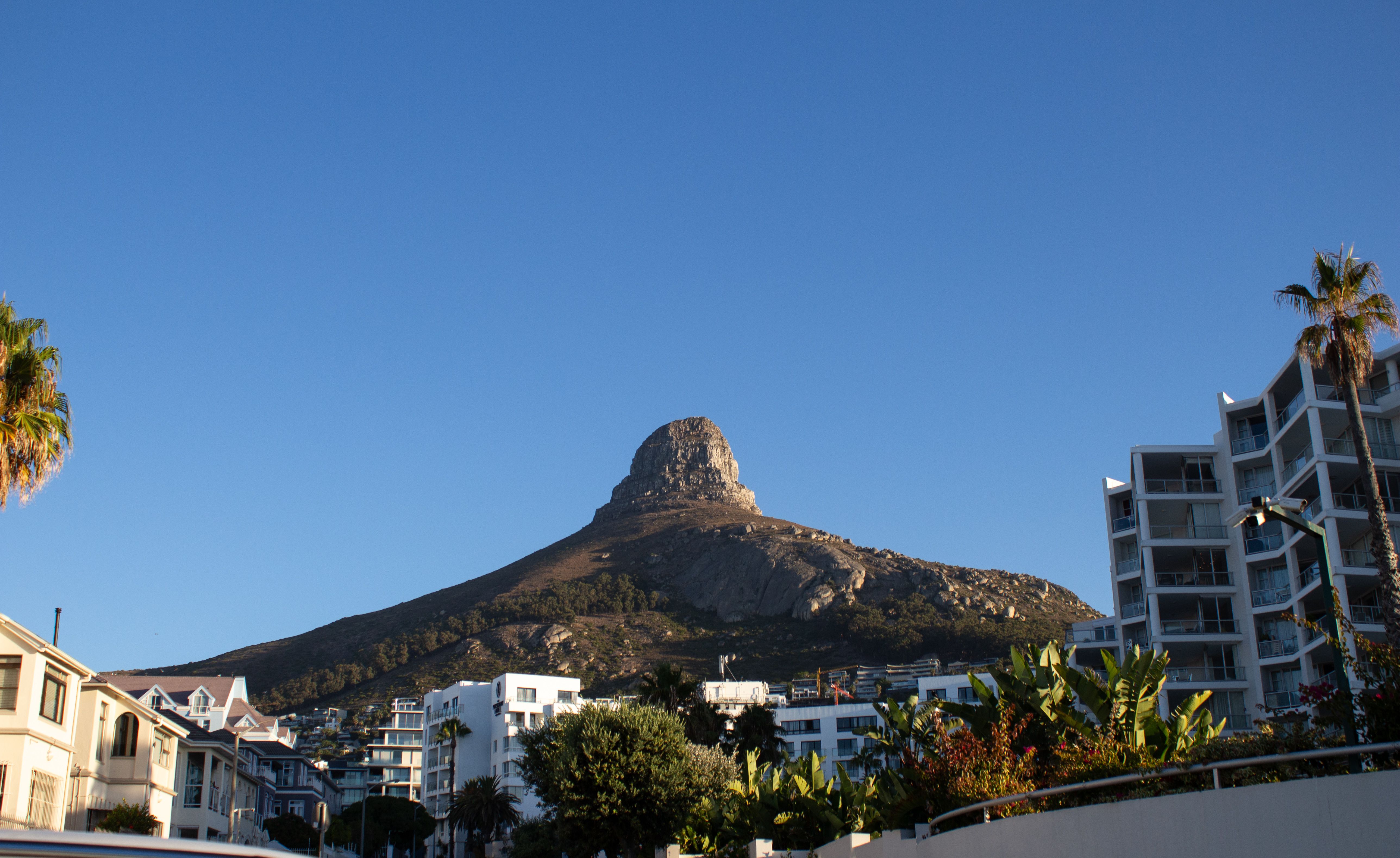 Watch cricket at Newlands with the mountain behind