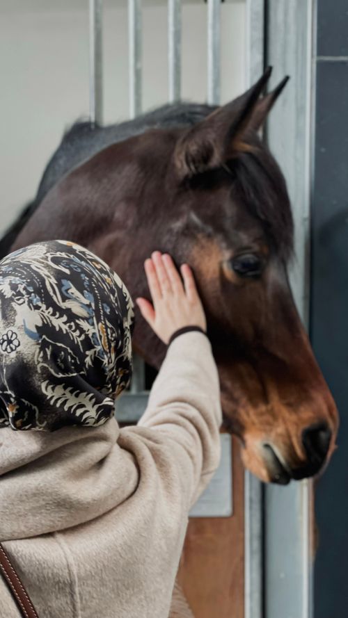 Free A woman gently petting a horse inside a stable, showcasing a moment of connection. Stock Photo