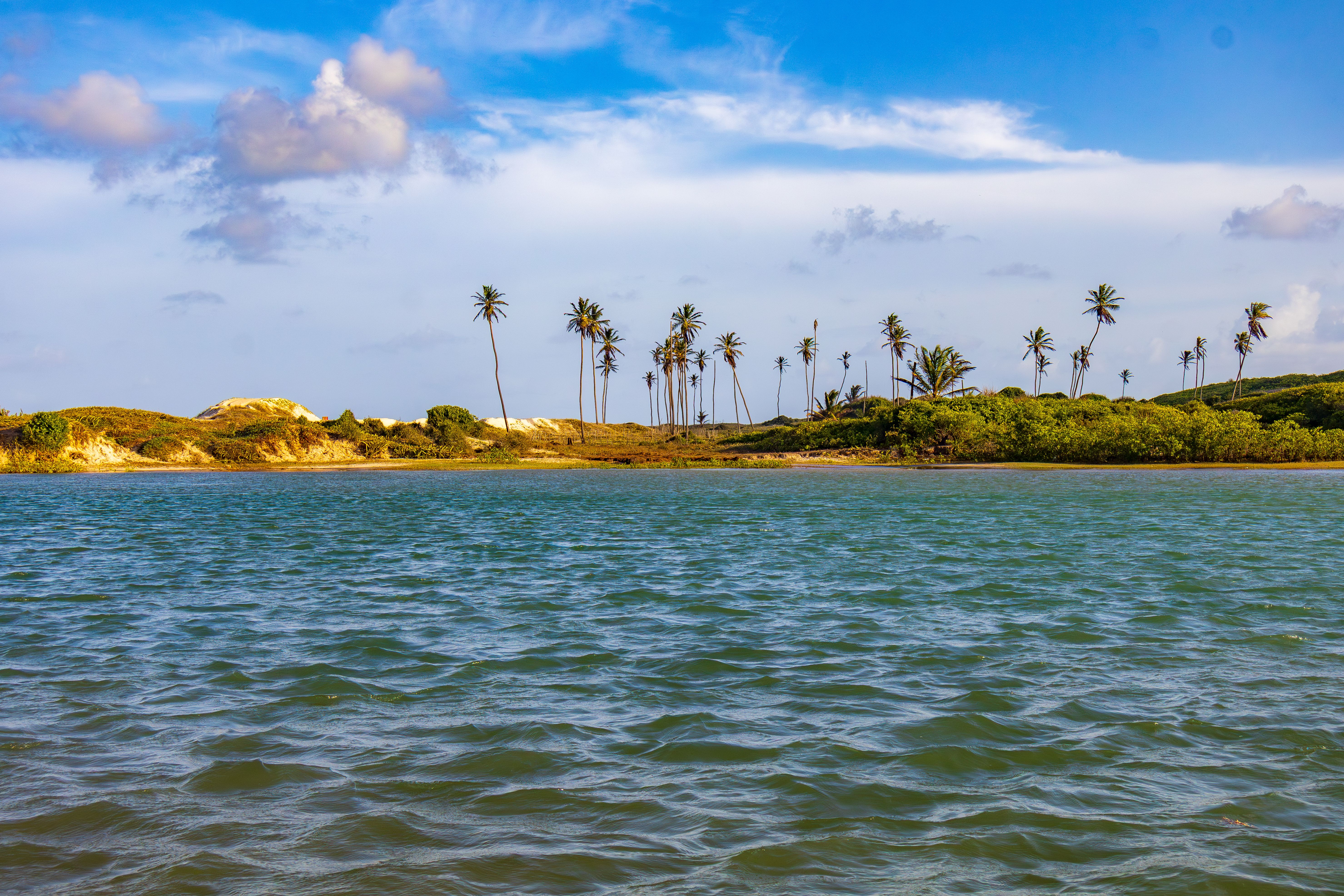 Explore the serene beach landscape with palm trees and vibrant water in Maxaranguape, Brazil.