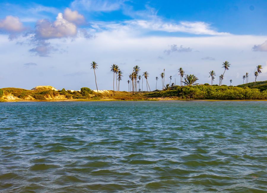 Explore the serene beach landscape with palm trees and vibrant water in Maxaranguape, Brazil.