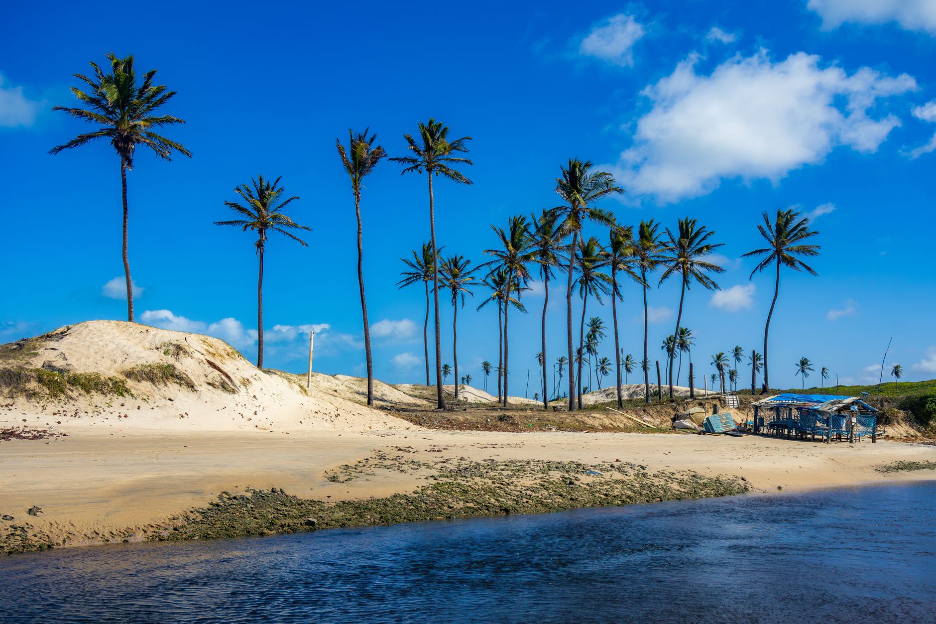 Tranquil beach with palm trees in Maxaranguape, Brazil under clear blue skies.