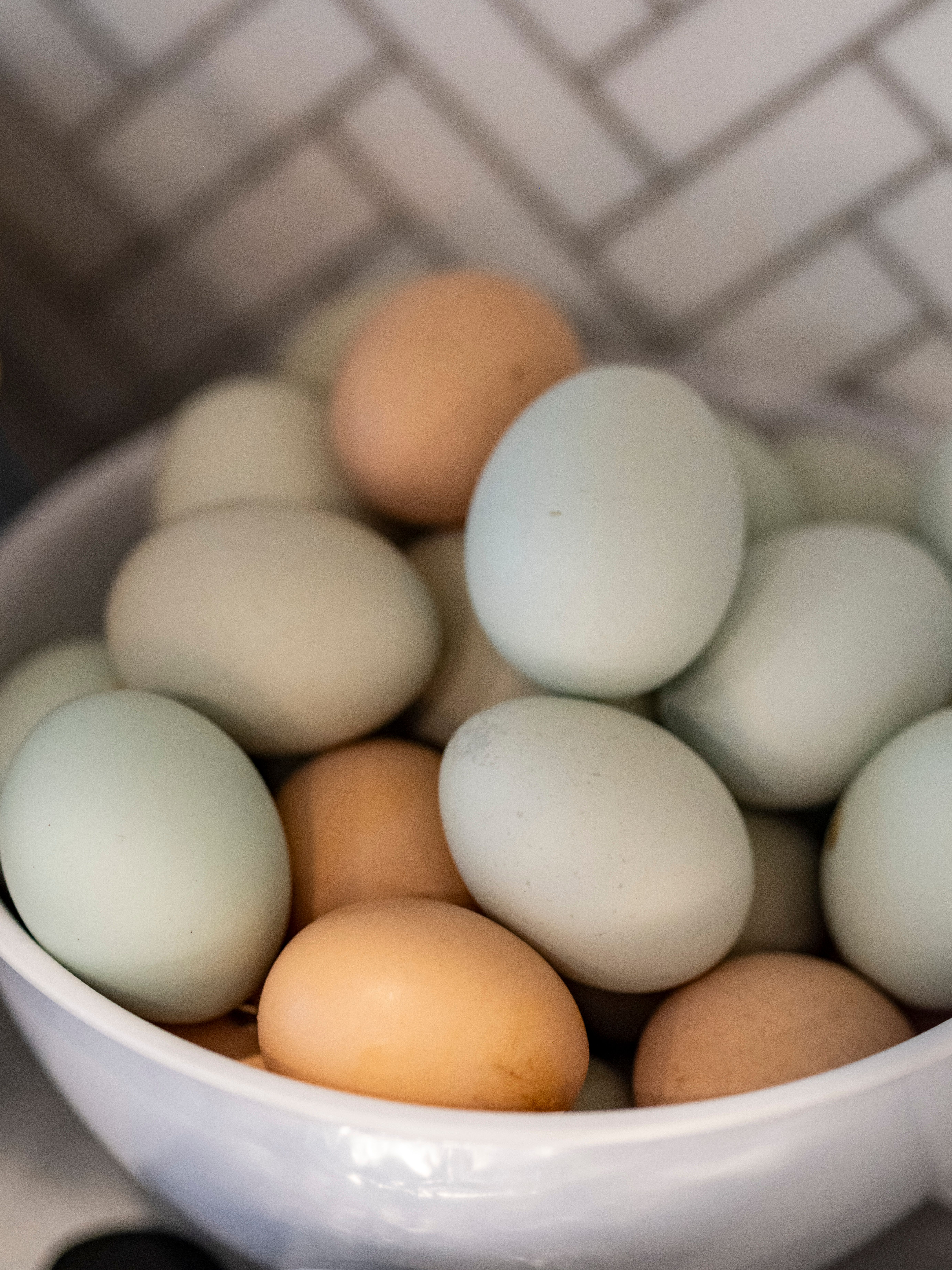 Œufs Label Rouge biologiques dans bol rustique