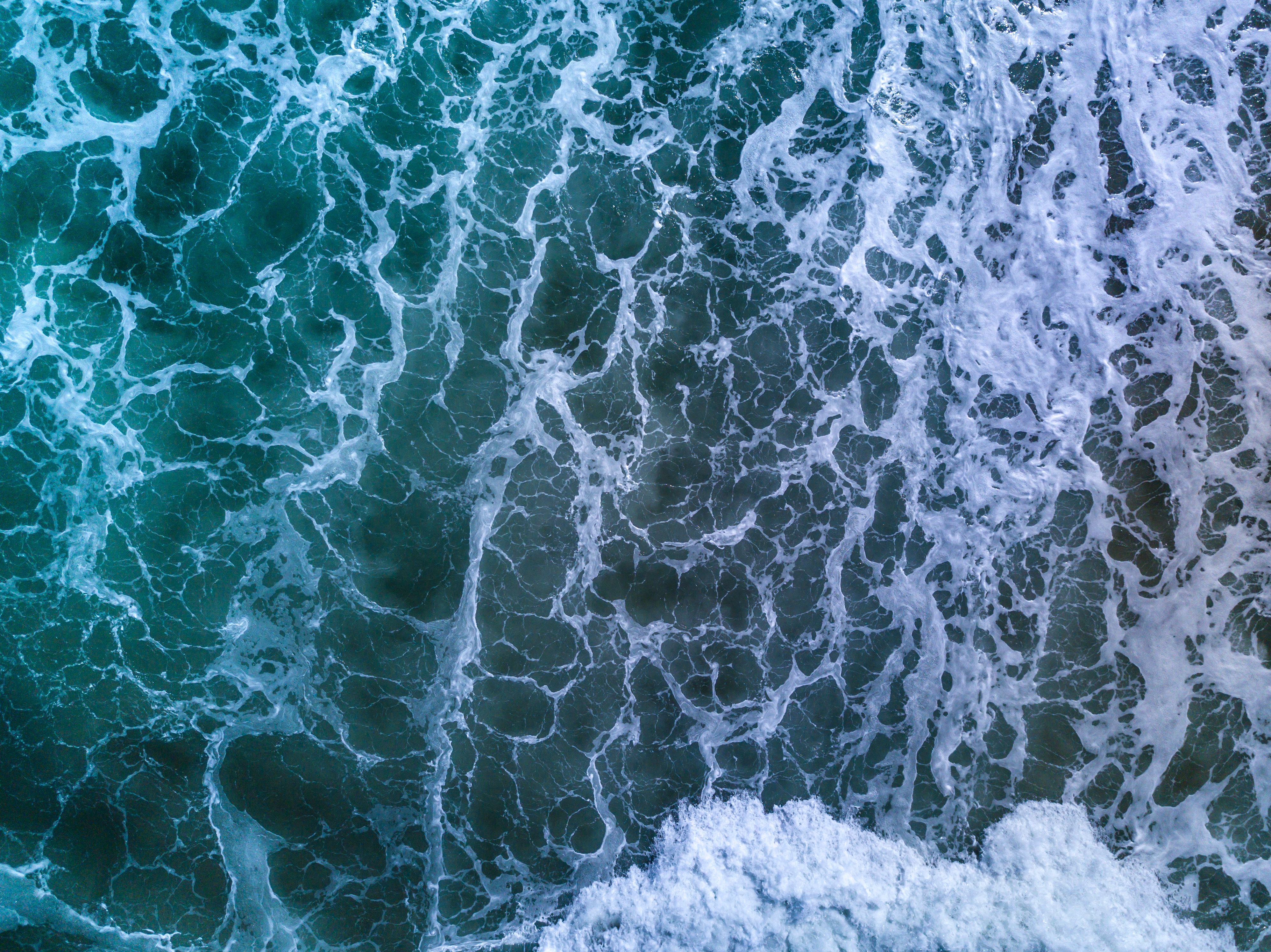 Kayaking Monterey Bay