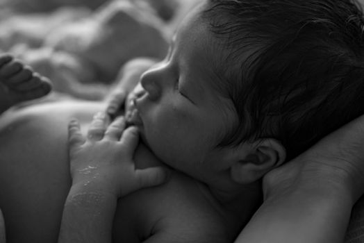 Close-up of a peaceful newborn baby sleeping, capturing tender moments in black and white.