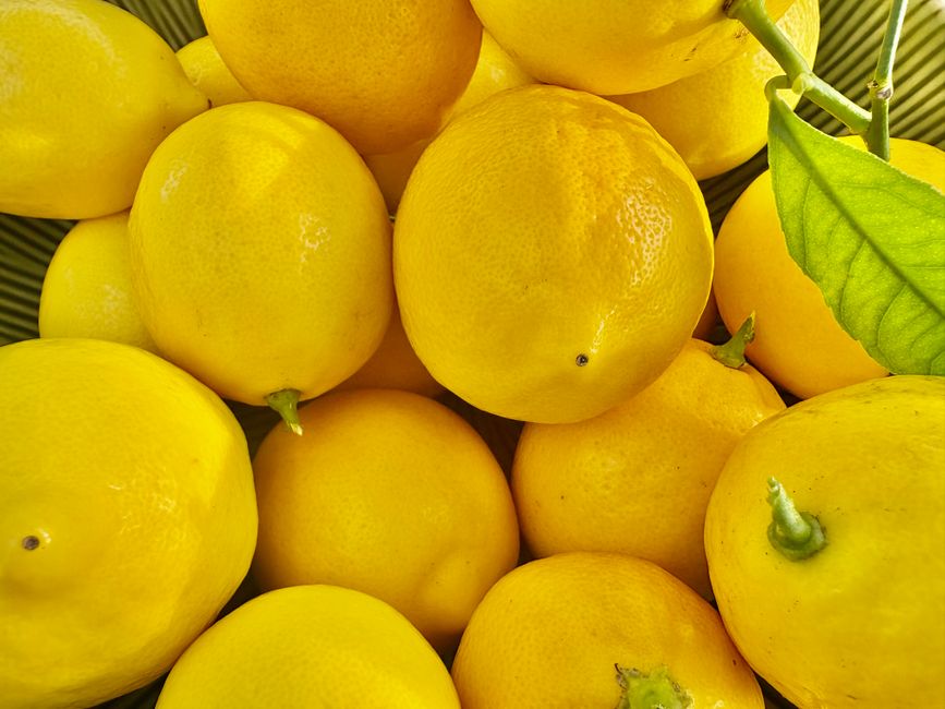 Bright yellow lemons perfectly captured with a single green leaf, conveying freshness and vitality.