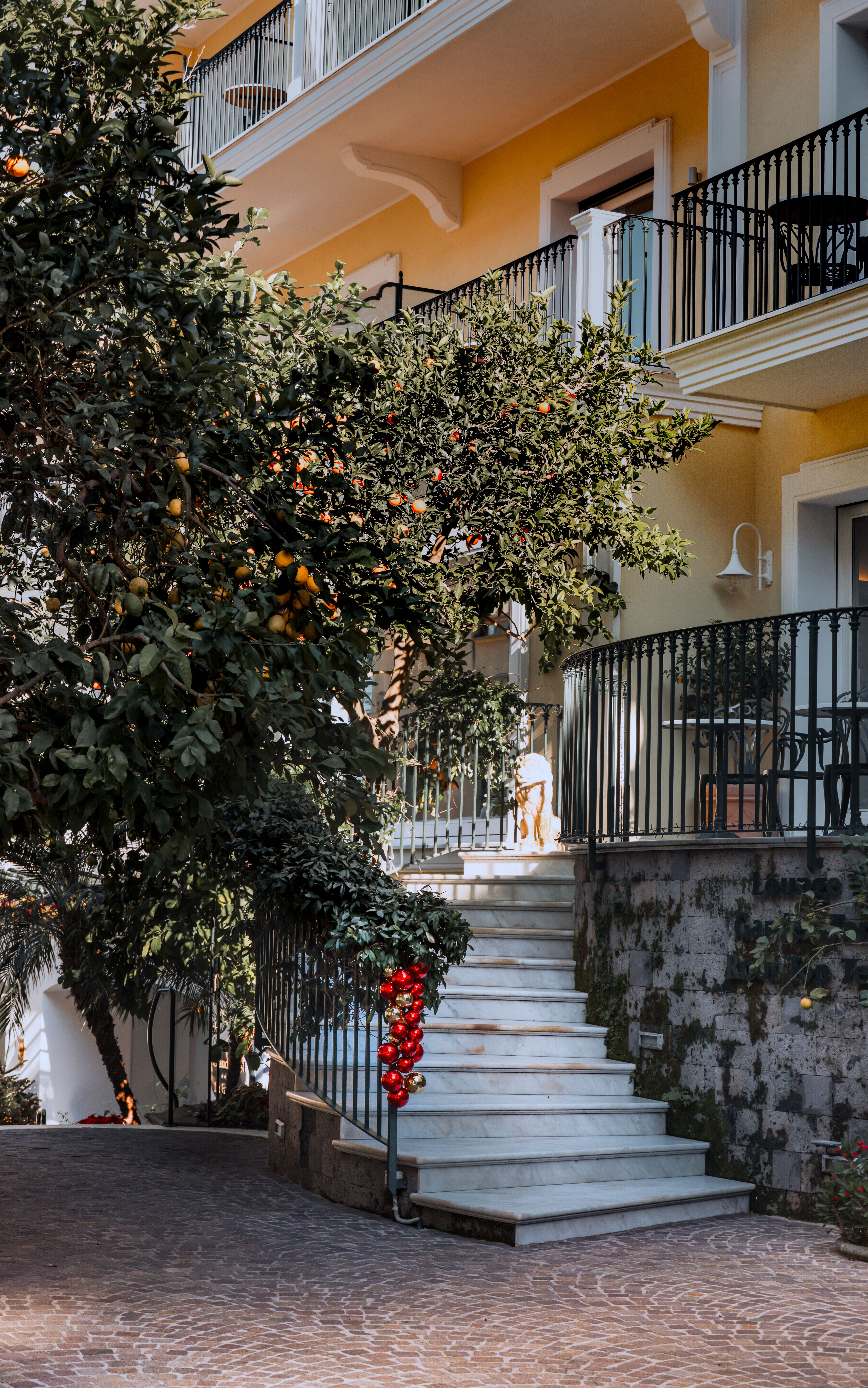 lemon tree in a hotel courtyard