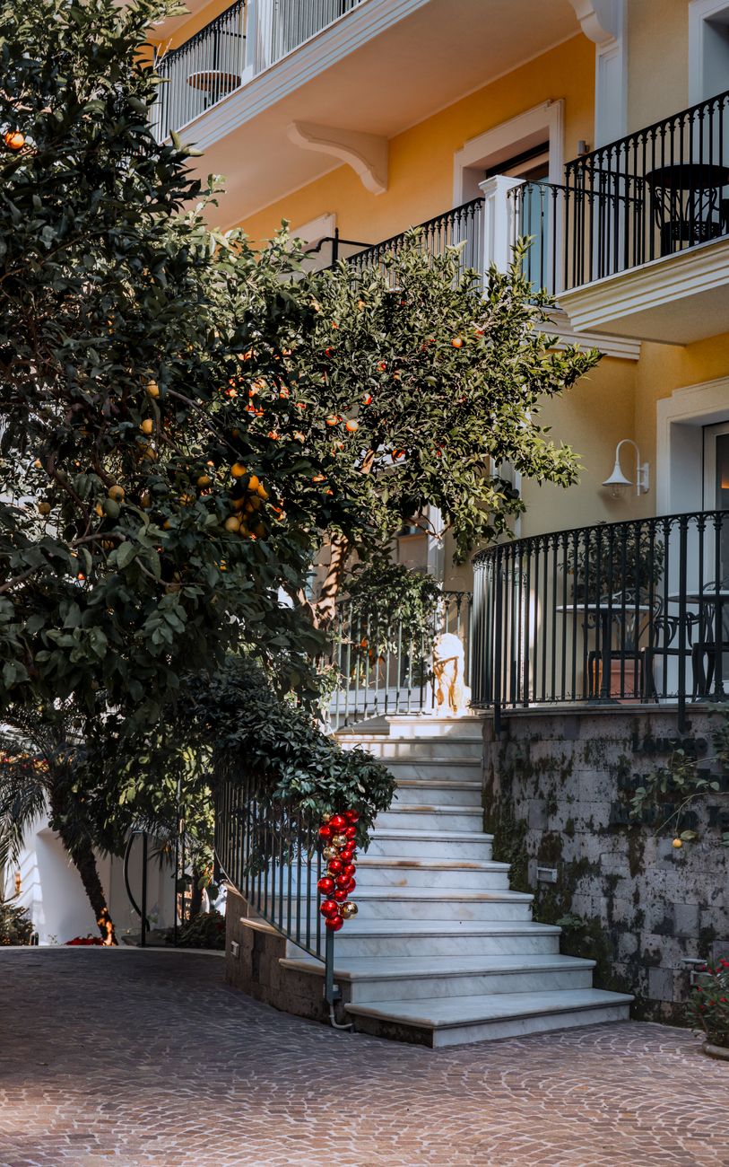 lemon tree in a hotel courtyard