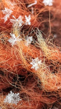 Macro shot of delicate snowflakes resting on textured orange fibers, capturing winter's intricate beauty.