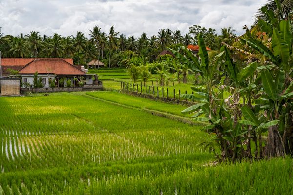 Classic Bali Escape Tour Package 6 Nights 7 Days | Kuta & Ubud - Transfers