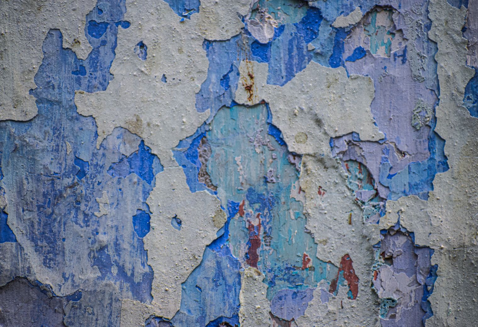 Plastering and Skimming in Tulse Hill — a freshly painted, spotless finish