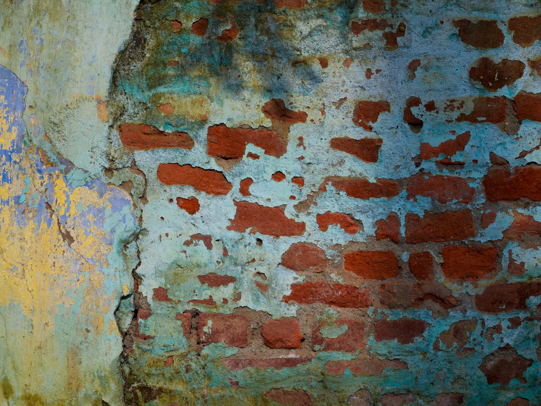 Plastering and Skimming in Willesden — the finished result after a professional repaint