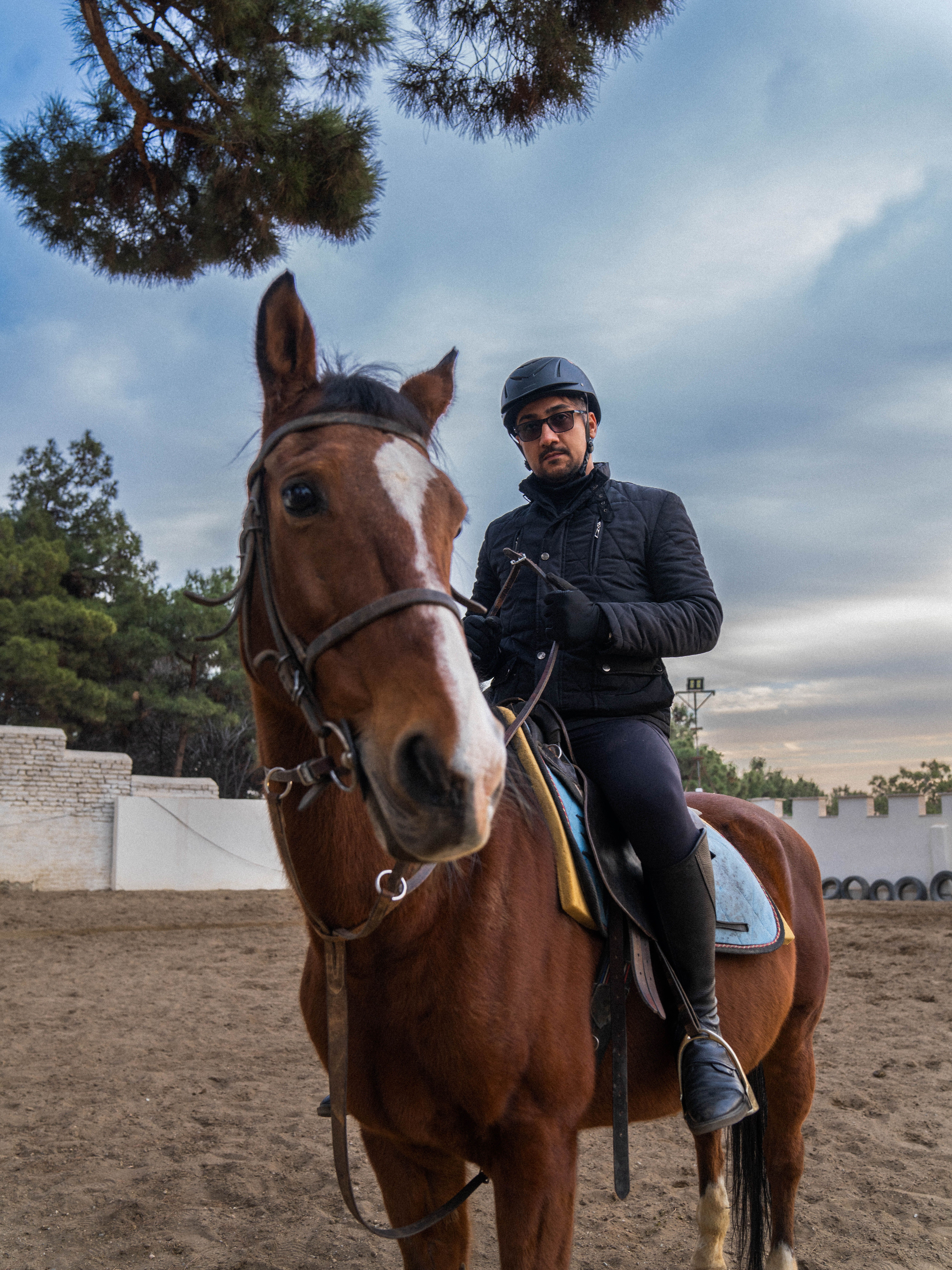 Bravo, rider in arena