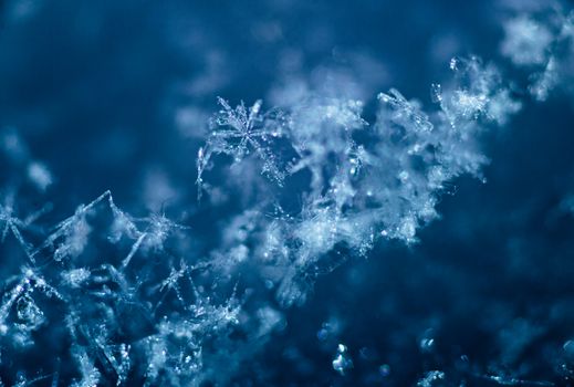 Detailed macro shot of snowflakes showcasing their intricate designs and delicate formations.