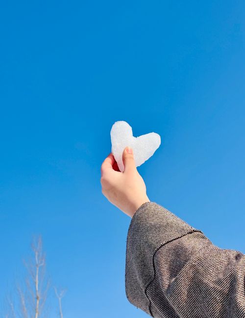 Free A hand holding a heart-shaped piece of snow against a bright blue sky and bare winter trees. Stock Photo