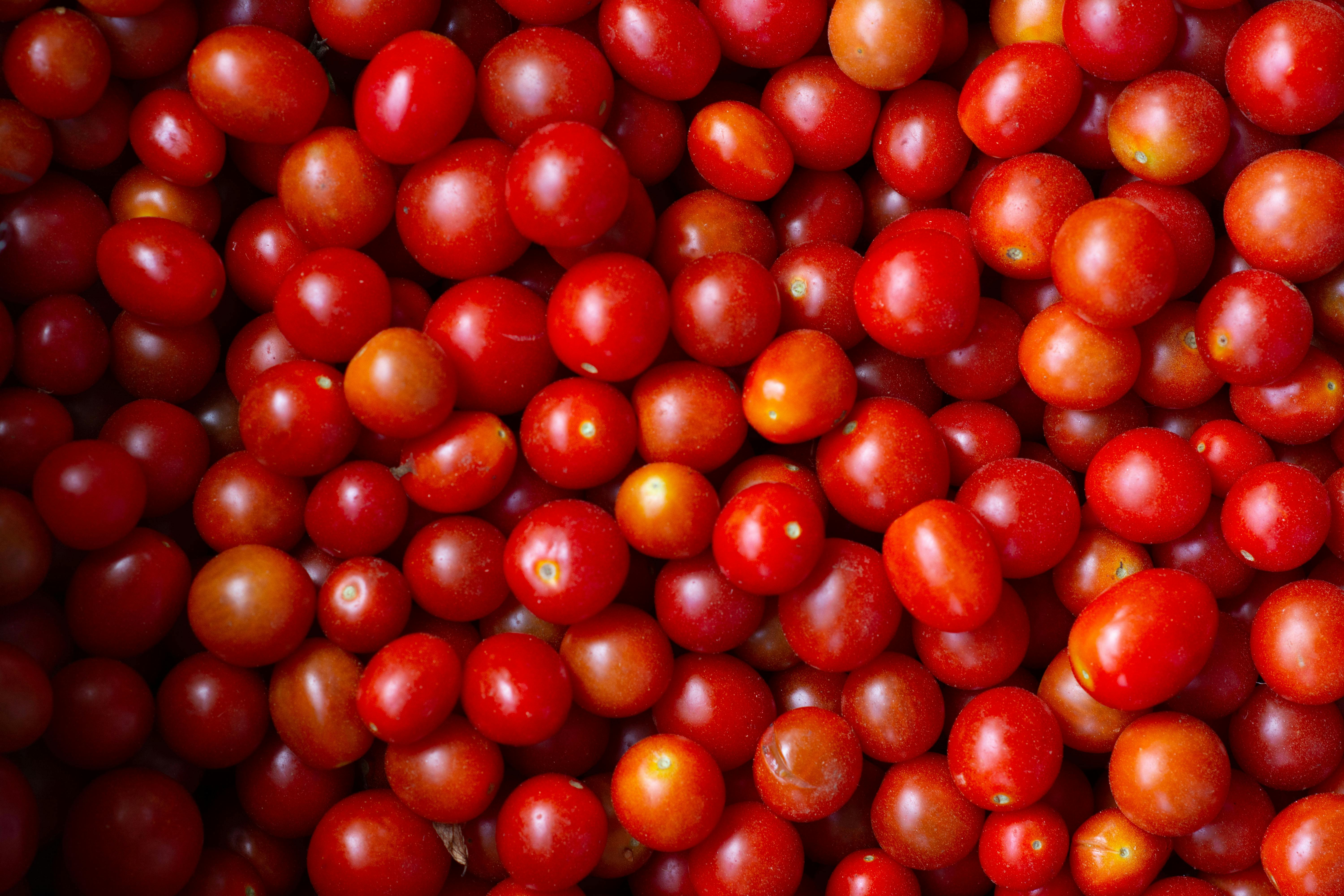 Rotten Tomatoes: Movies | TV Shows | Movie Trailers | Reviews — Photo by Namukolo Siyumbwa on Pexels