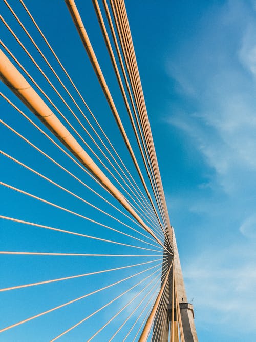 Free stock photo of amazon, bluesky, bridge