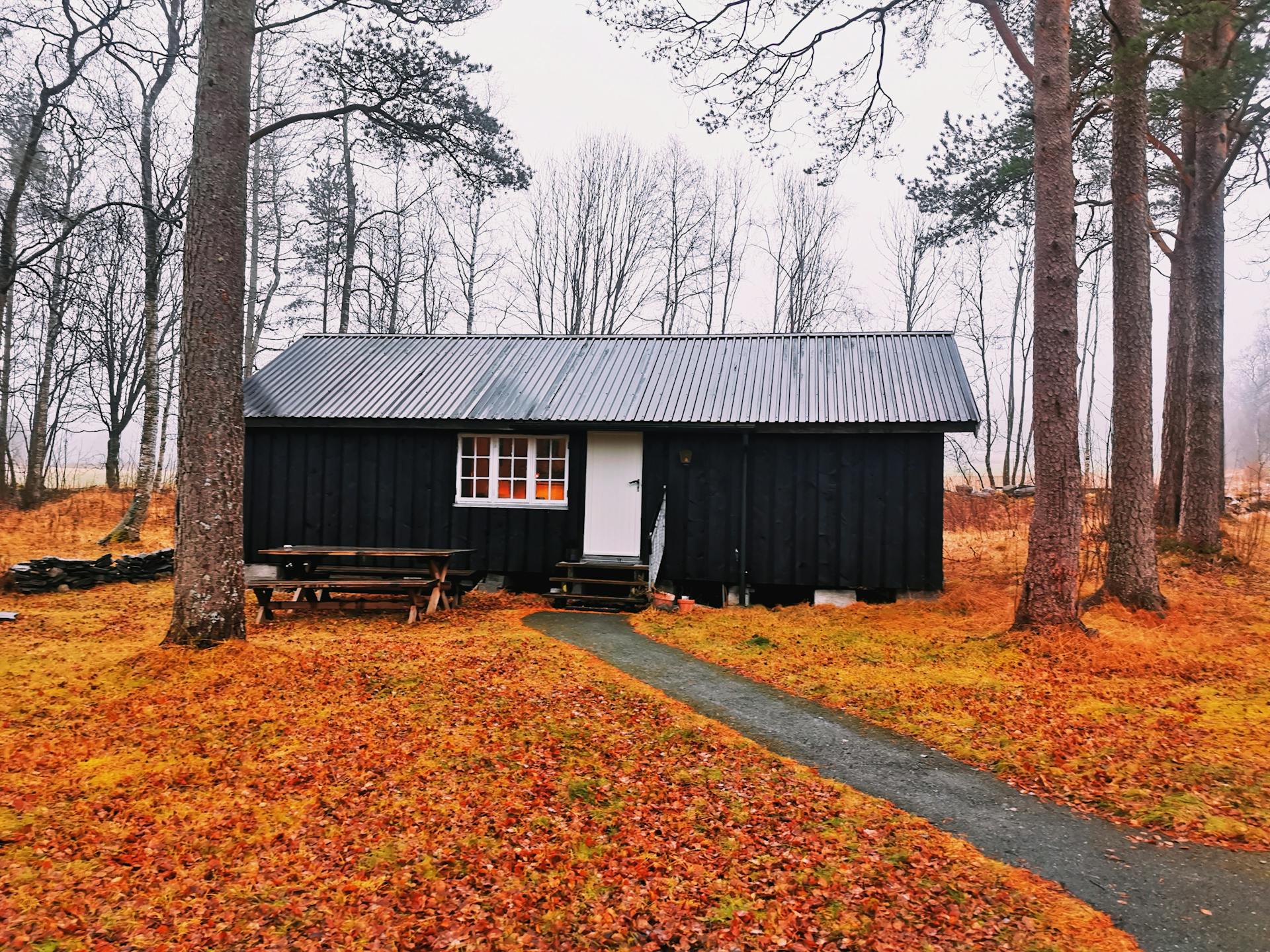 A Shipping Container Converted Ito A Cozy House