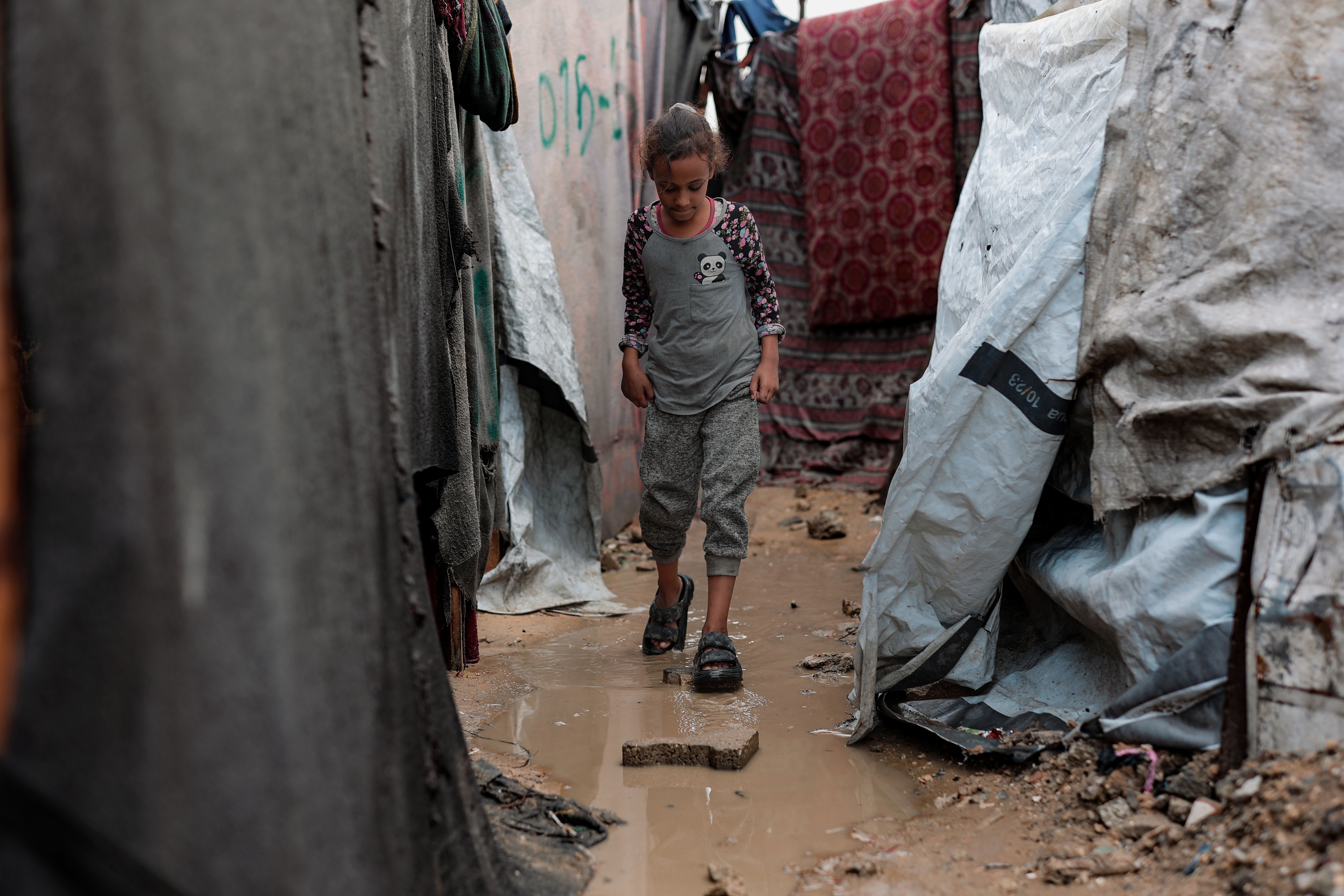 Featured image for: Understanding Gaza Humanitarian Aid Amid the Middle East Conflict