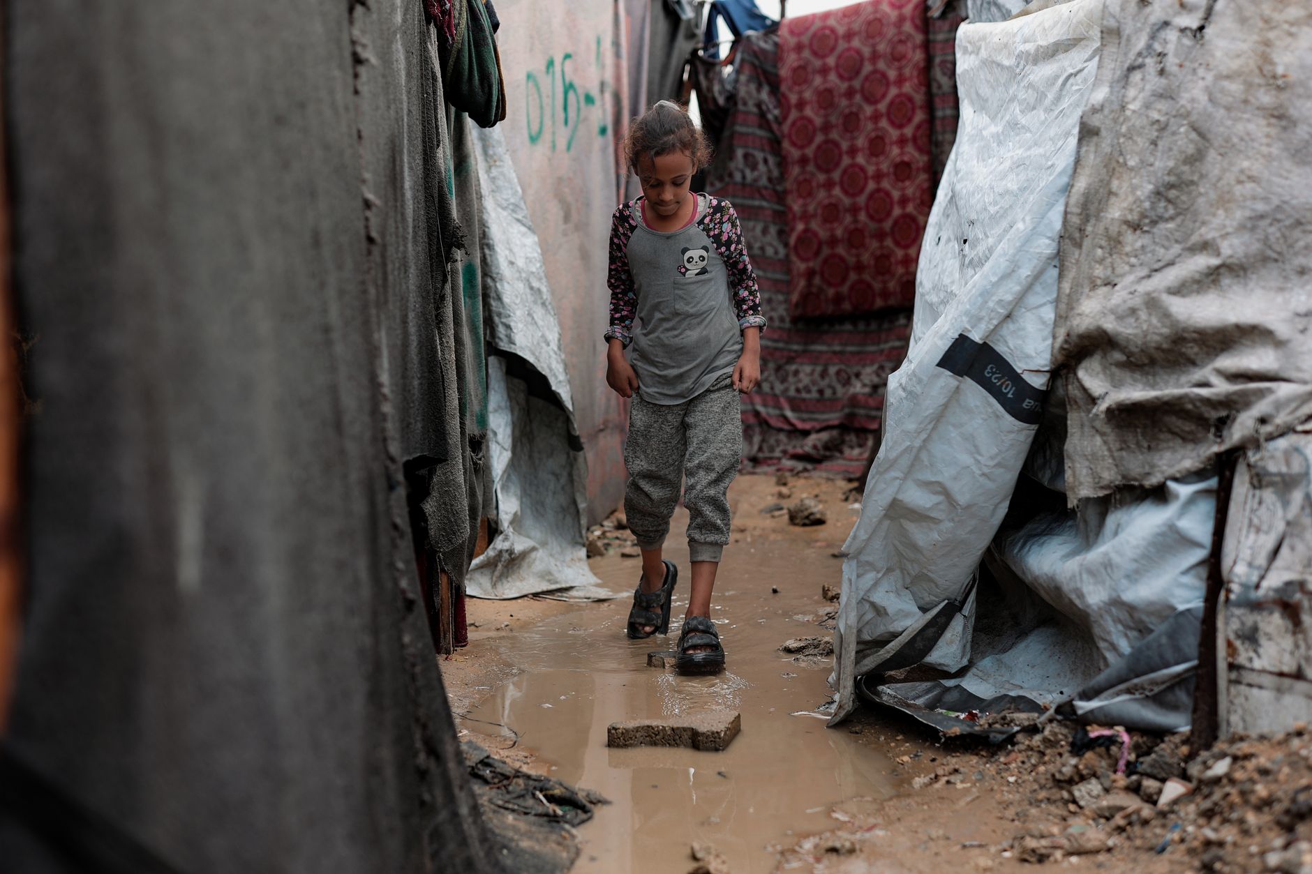 Feet dragging, division and obstruction: What Israel really wants for Gaza