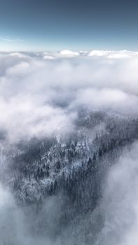 Majestic aerial view of winter forest shrouded in clouds, capturing serene natural beauty.