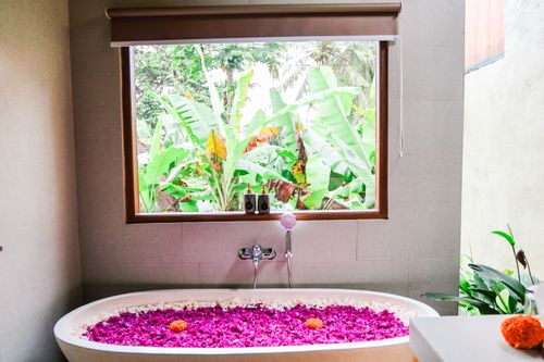 Free stock photo of banana tree, bath tub, flower bath Stock Photo