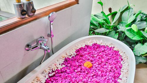 Free stock photo of balinese, bath tub, flower bath Stock Photo