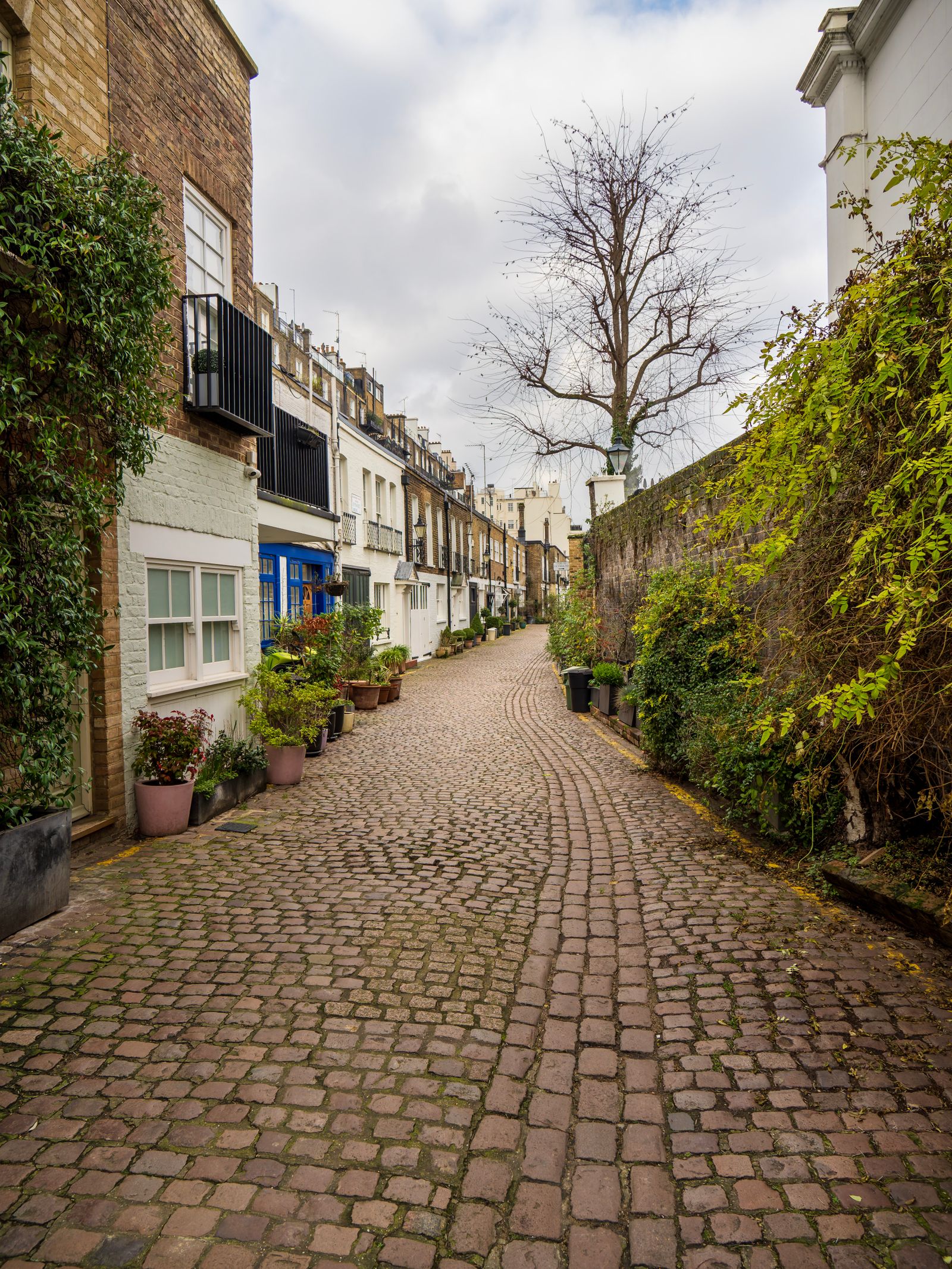 Cazare în Londra: o stradă pavată din South Kensington