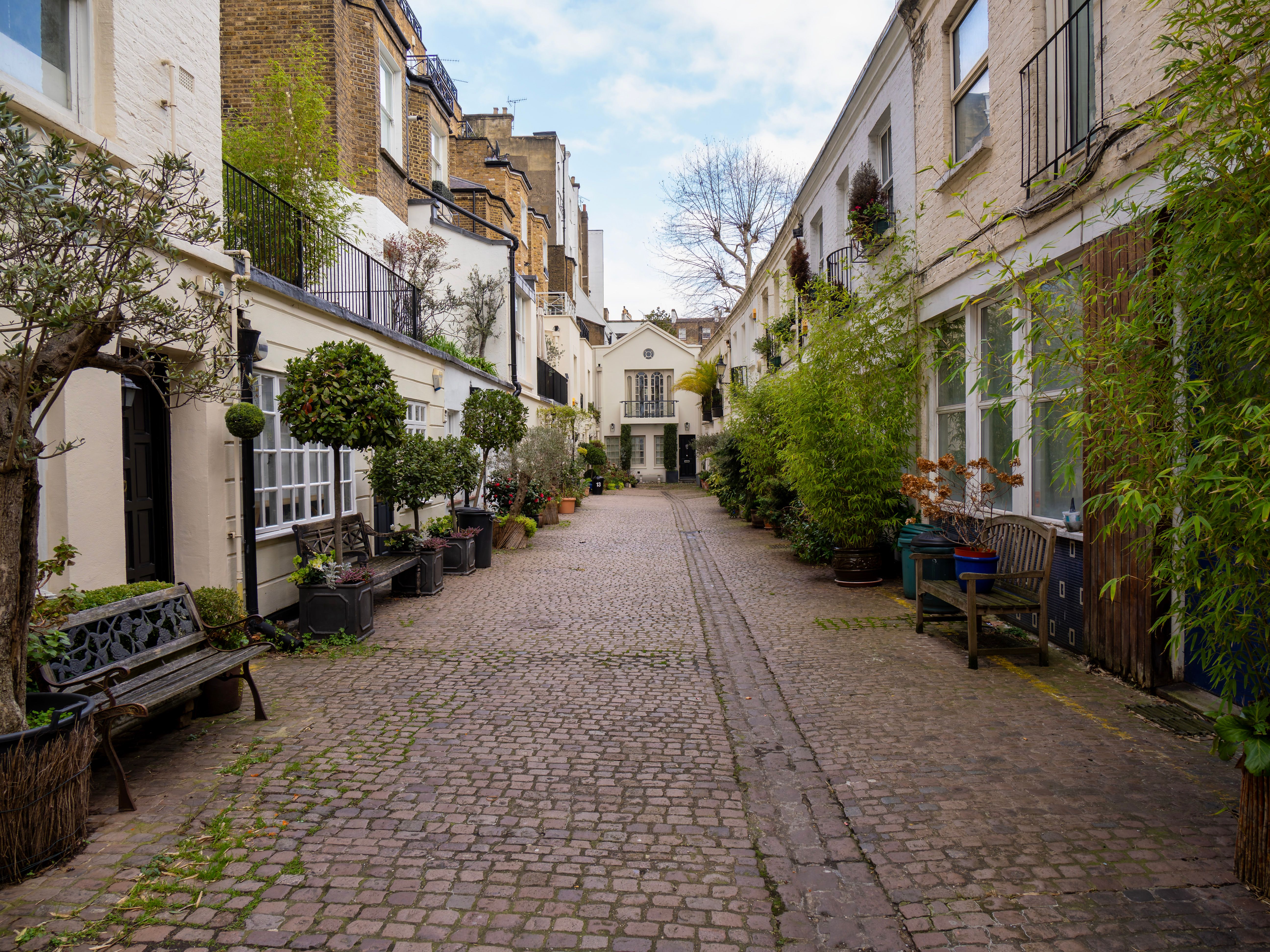 Discover the tranquility of a historic London mews with cobblestones and lush greenery.