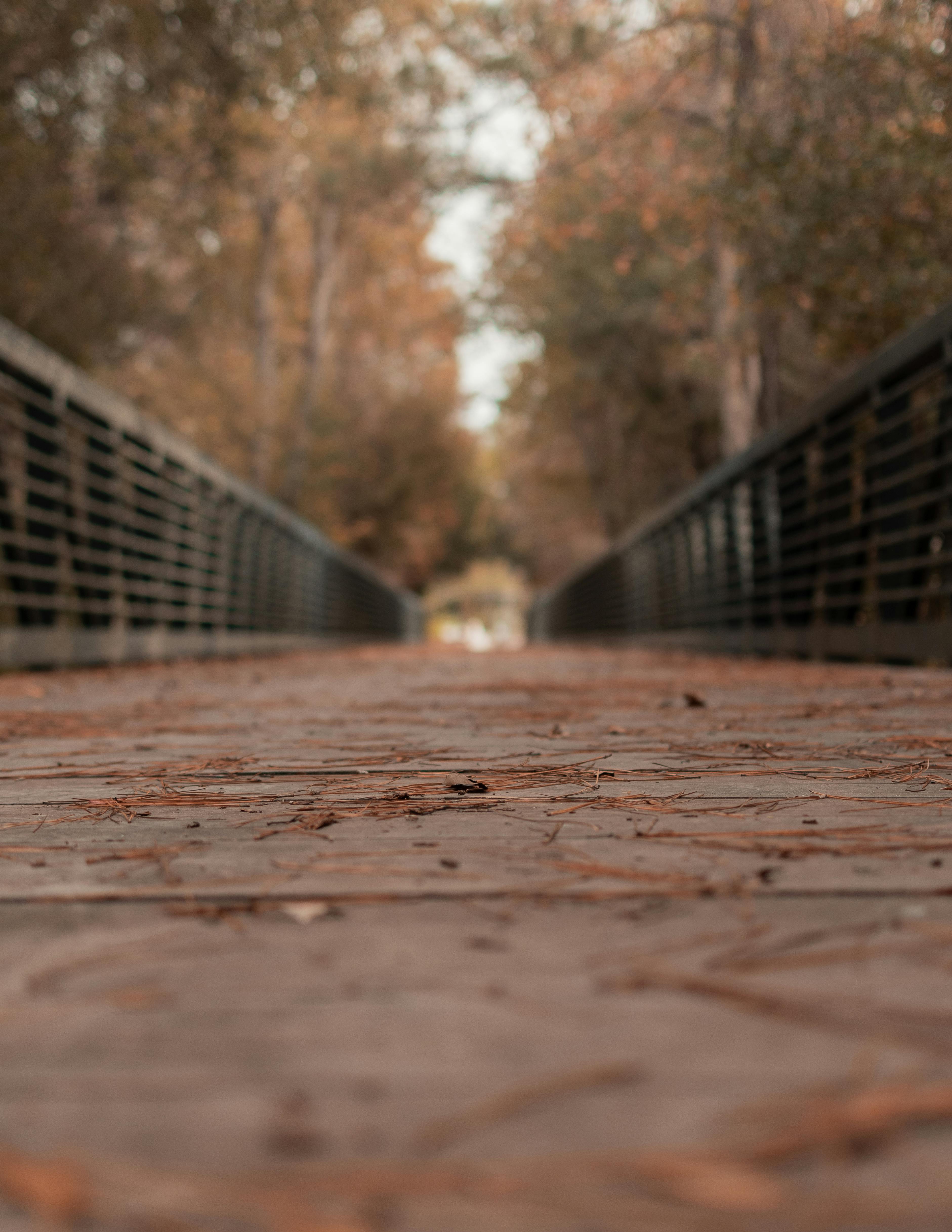 Photo of a Walkway with Railing · Free Stock Photo