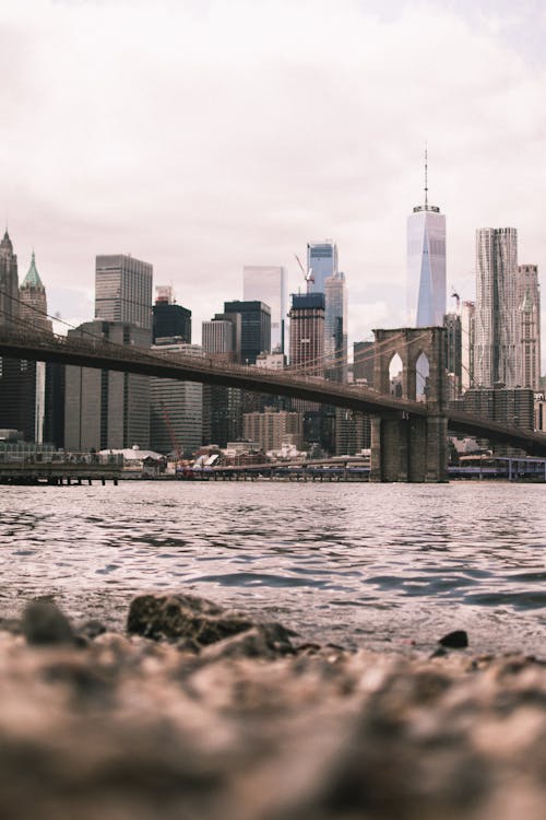 무료 물 위에 회색 콘크리트 다리 스톡 사진